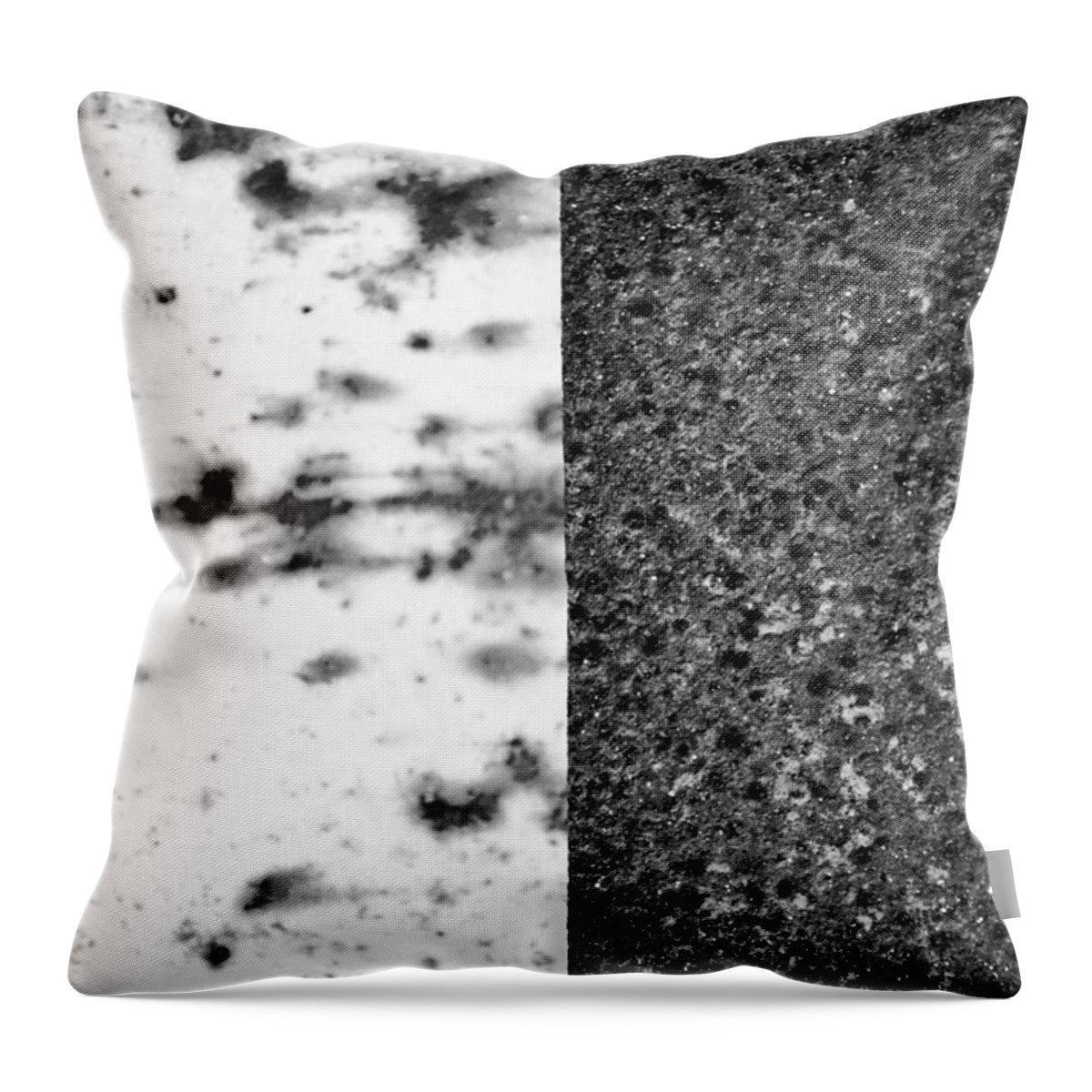 Dichotomy Throw Pillow featuring the photograph Dichotomy by Tom Druin
