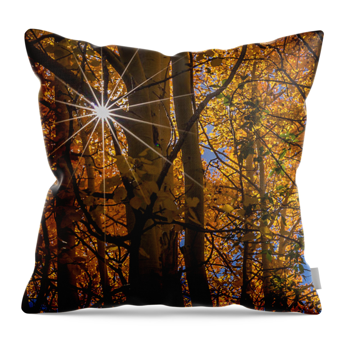 Art Throw Pillow featuring the photograph Diffraction Action by Gary Migues