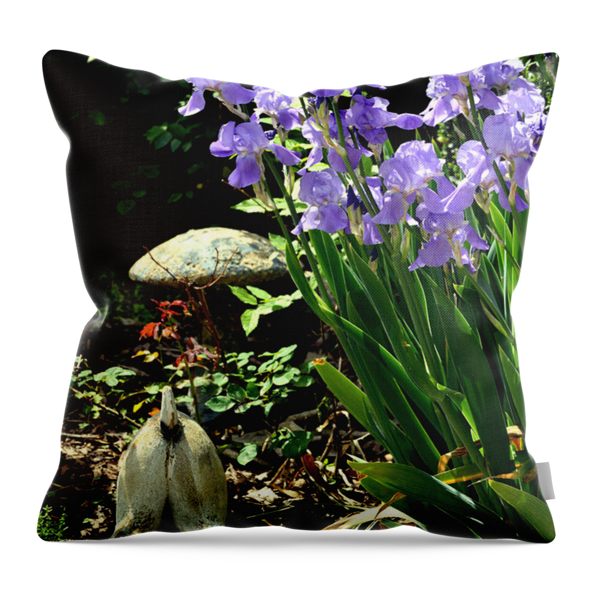 Iris Throw Pillow featuring the photograph Digging Iris Bulbs by Lesa Fine