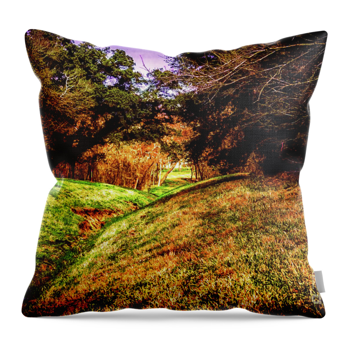 Woods Throw Pillow featuring the photograph Digital Woodland Tunnel by JB Thomas