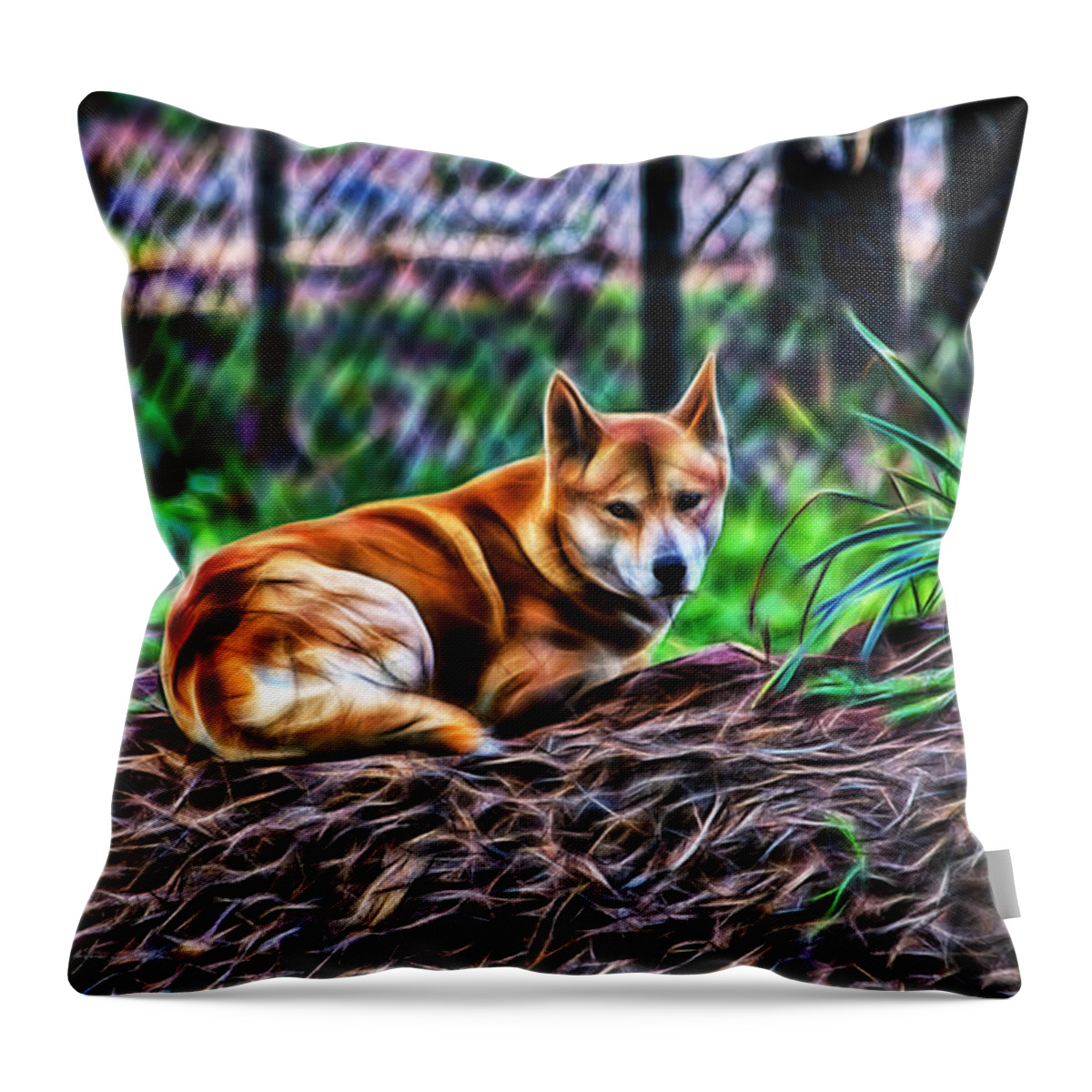 #dingo Throw Pillow featuring the photograph Dingo from Ozz by Miroslava Jurcik