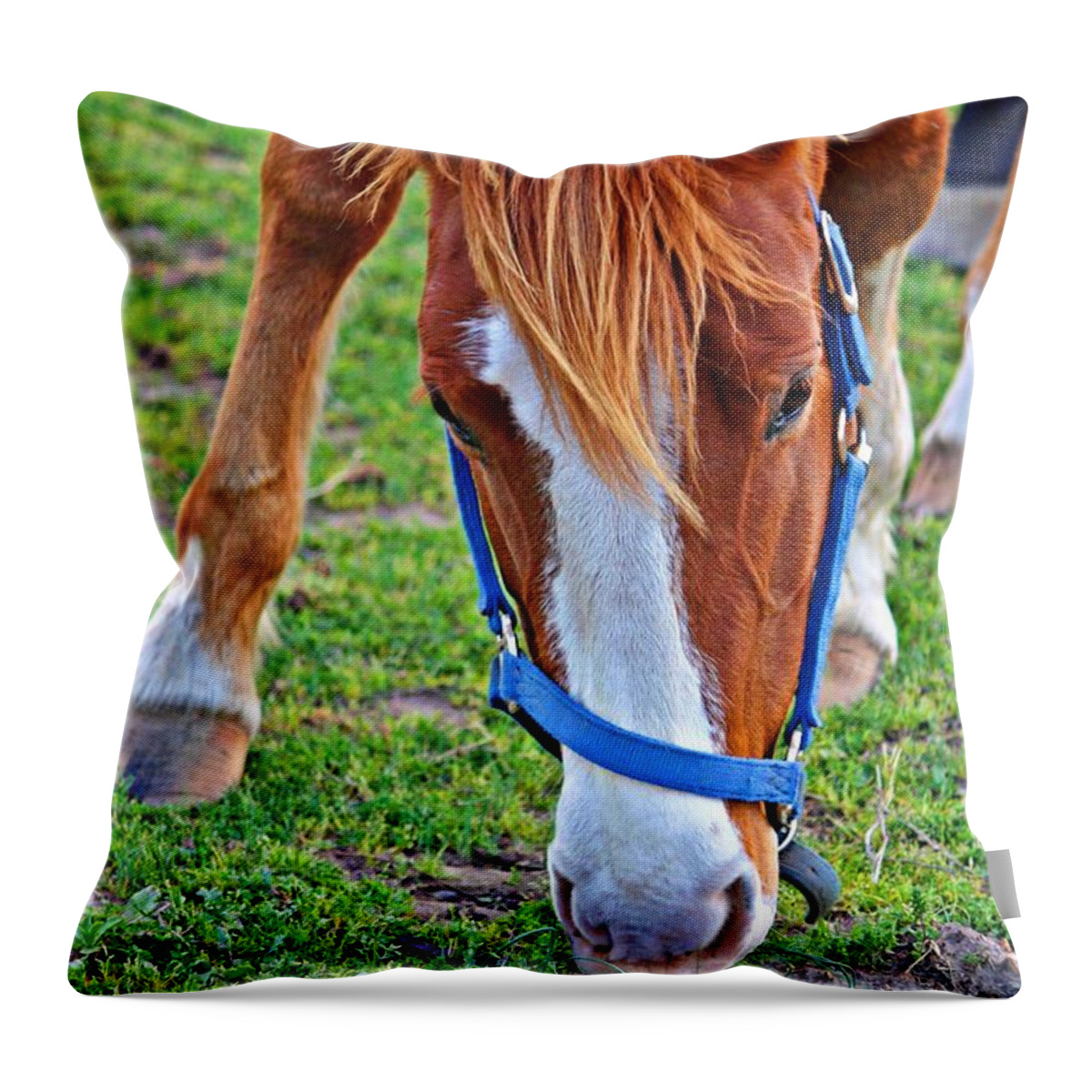 Horse Throw Pillow featuring the photograph Dinner Time- Fine Art by KayeCee Spain