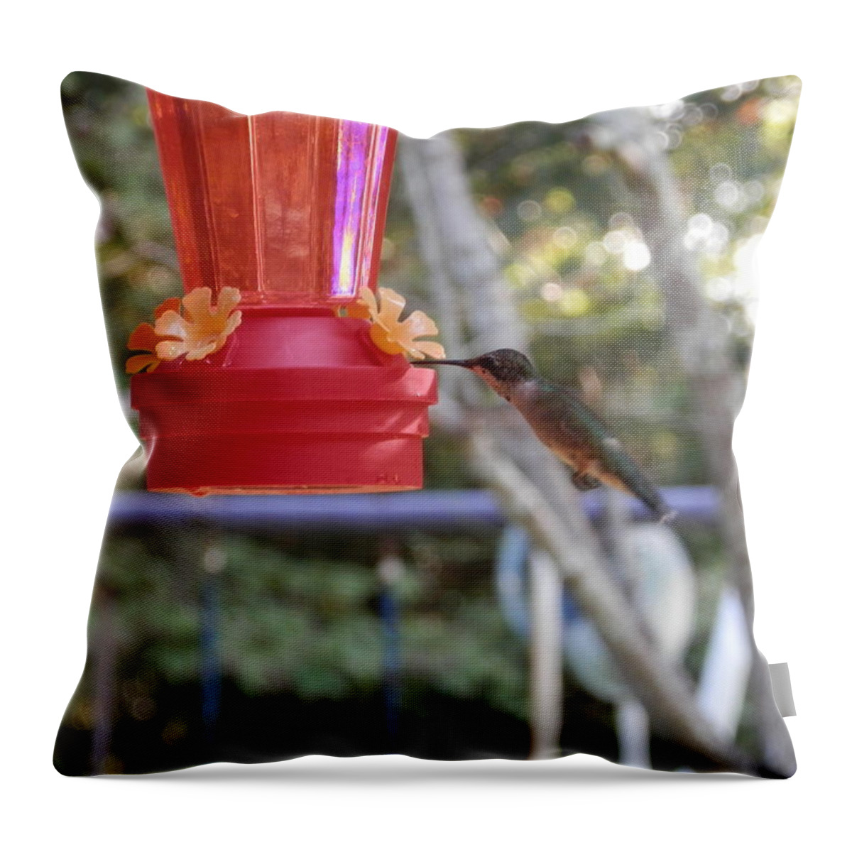 #baby #hummingbirdenjoying #nectar #find Throw Pillow featuring the photograph Dinner Time Hummingbird by Belinda Lee