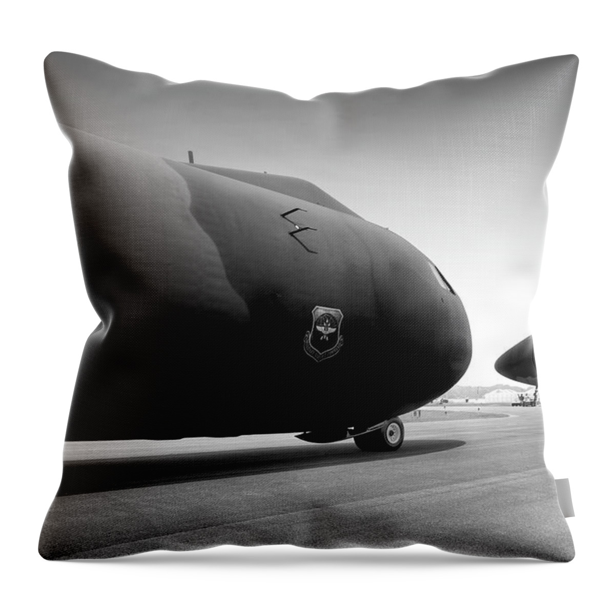 Black & White Throw Pillow featuring the photograph Dinosaur Petting Zoo by Frederic A Reinecke