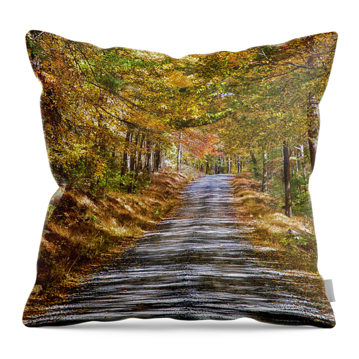 Road Throw Pillow featuring the photograph Dirt Road by Hugh Smith