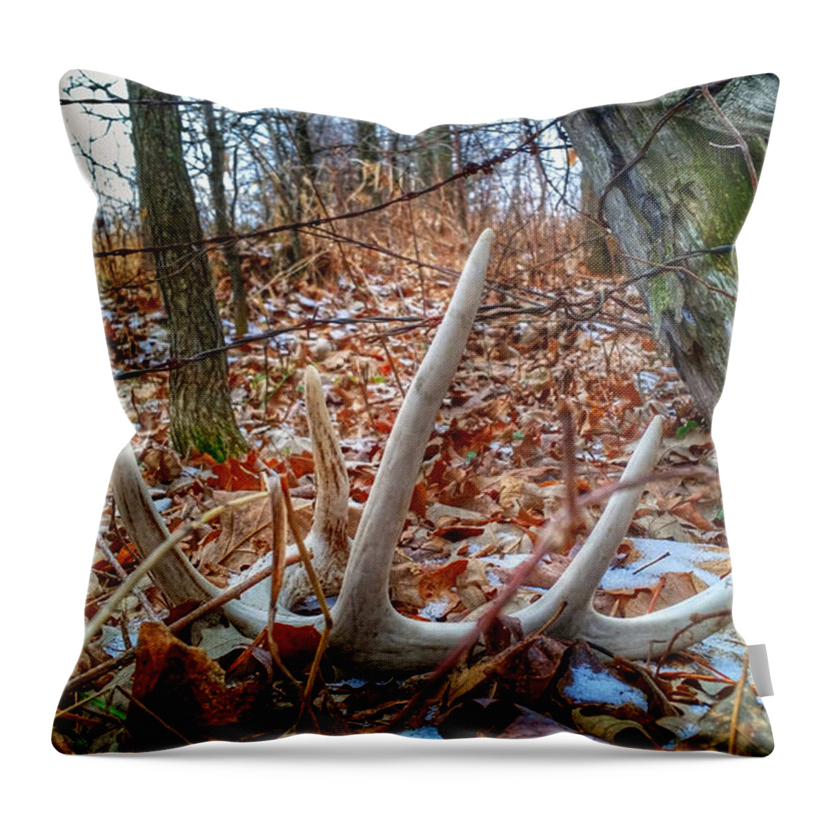 Antler Throw Pillow featuring the photograph Discarded Pride by Brook Burling