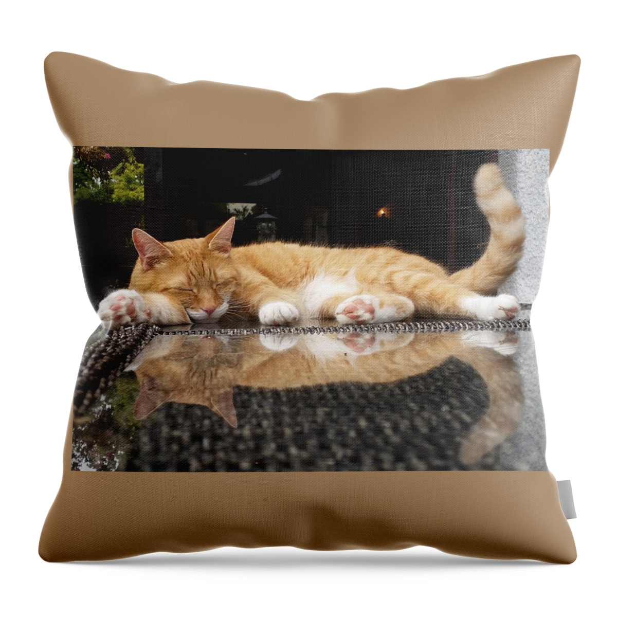 Cat Throw Pillow featuring the photograph Disco Dreams by Rowena Tutty