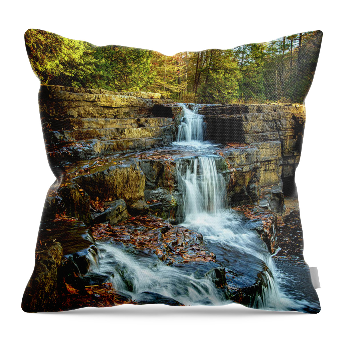 Landscape Throw Pillow featuring the photograph Dismal Falls #3 by Joe Shrader