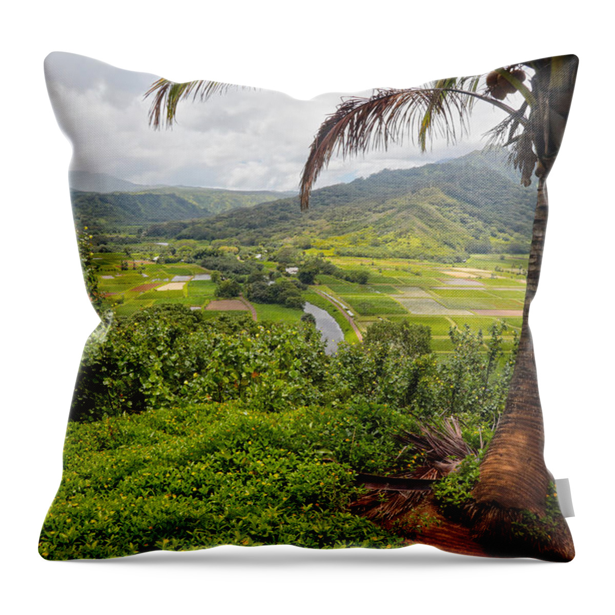 Landscape Throw Pillow featuring the photograph Distant Fields of Taro by Jim Vance