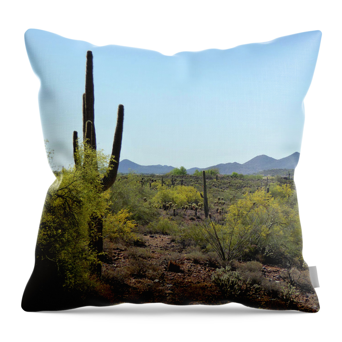 Arizona Throw Pillow featuring the photograph Distant Hills by Gordon Beck