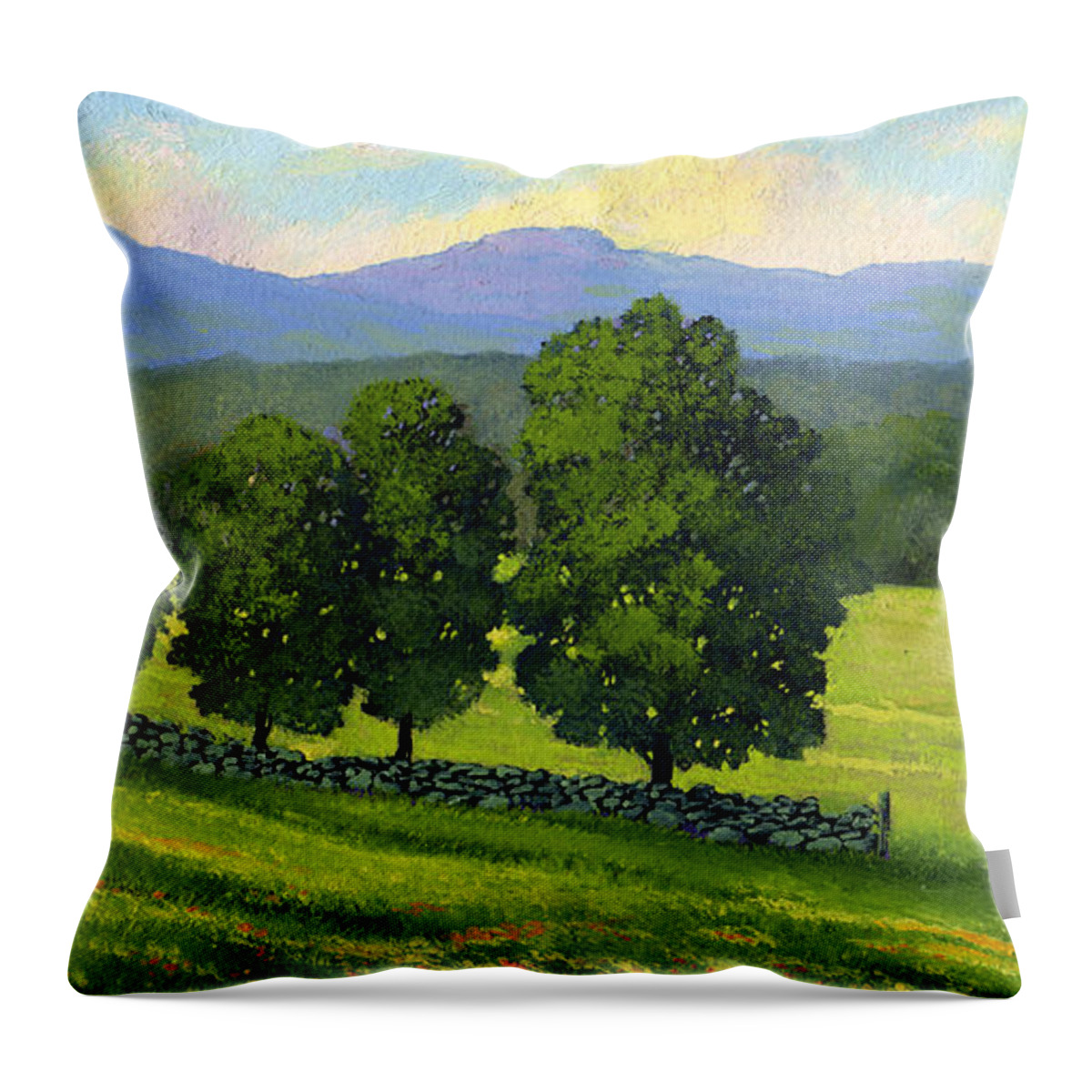 Landscape Throw Pillow featuring the painting Distant Mountains by Frank Wilson