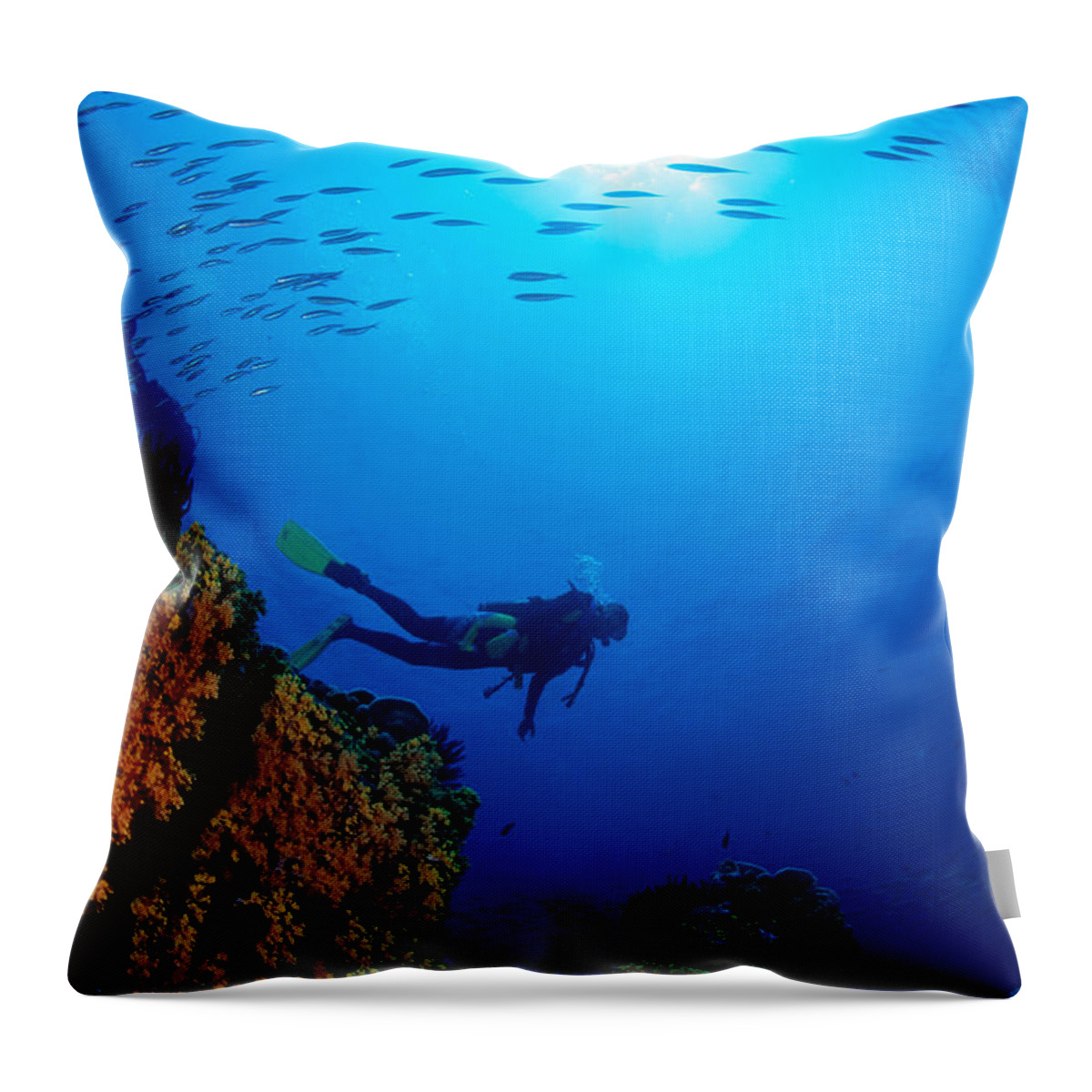 Bubble Throw Pillow featuring the photograph Diving Scene by Ed Robinson - Printscapes