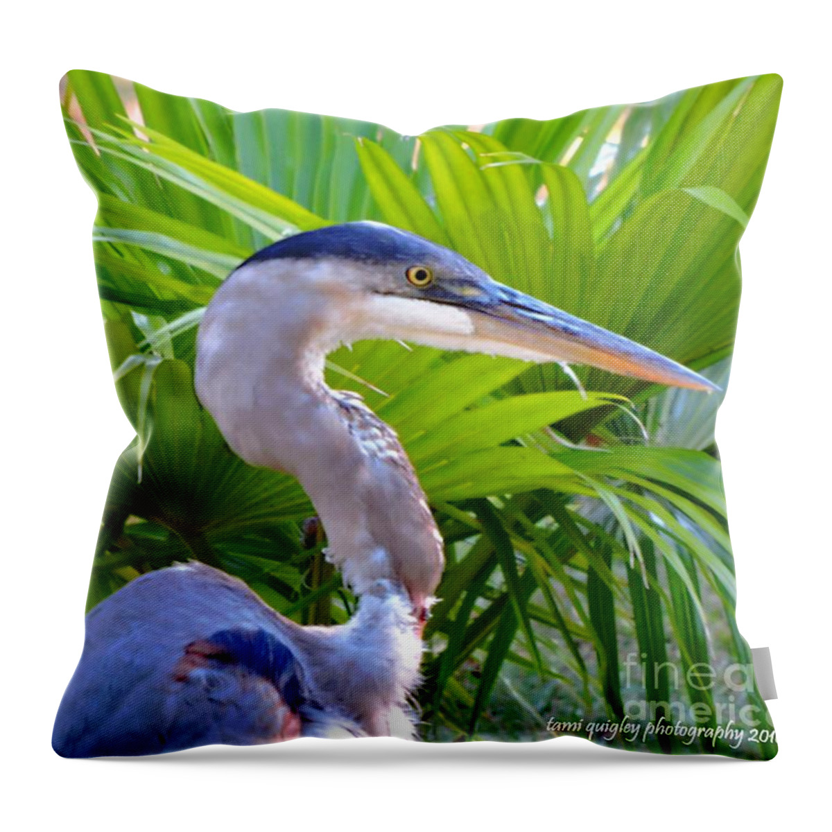 Great Blue Heron Throw Pillow featuring the photograph Dixieland Blues by Tami Quigley