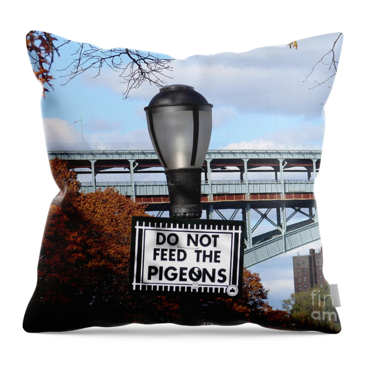 Sign Throw Pillow featuring the photograph Do Not Feed the Pigeons by Cole Thompson