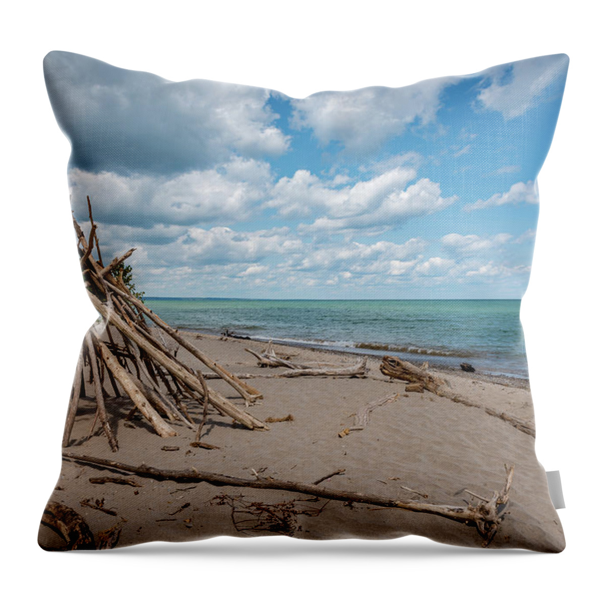 Beach Throw Pillow featuring the photograph Doctors Park Beach II by James Meyer