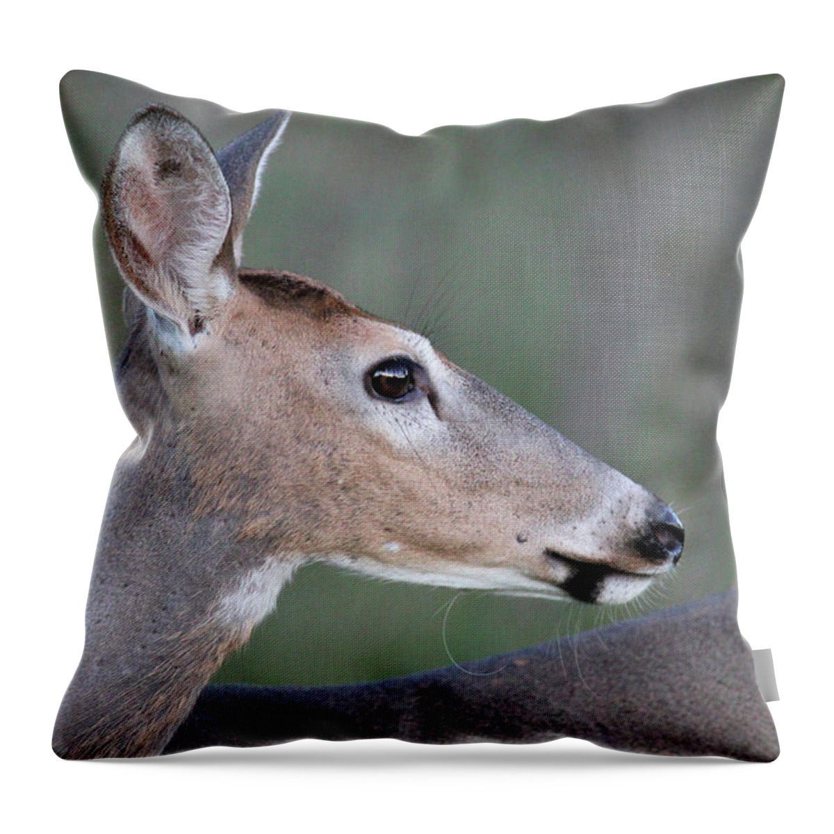 Deer Throw Pillow featuring the photograph Doe Side Profile by Brook Burling