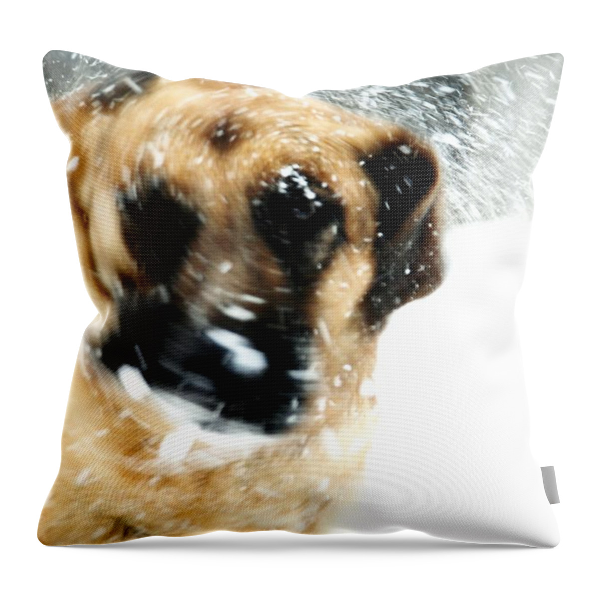 Animals Throw Pillow featuring the photograph Dog Blizzard - German Shepherd by Angie Tirado