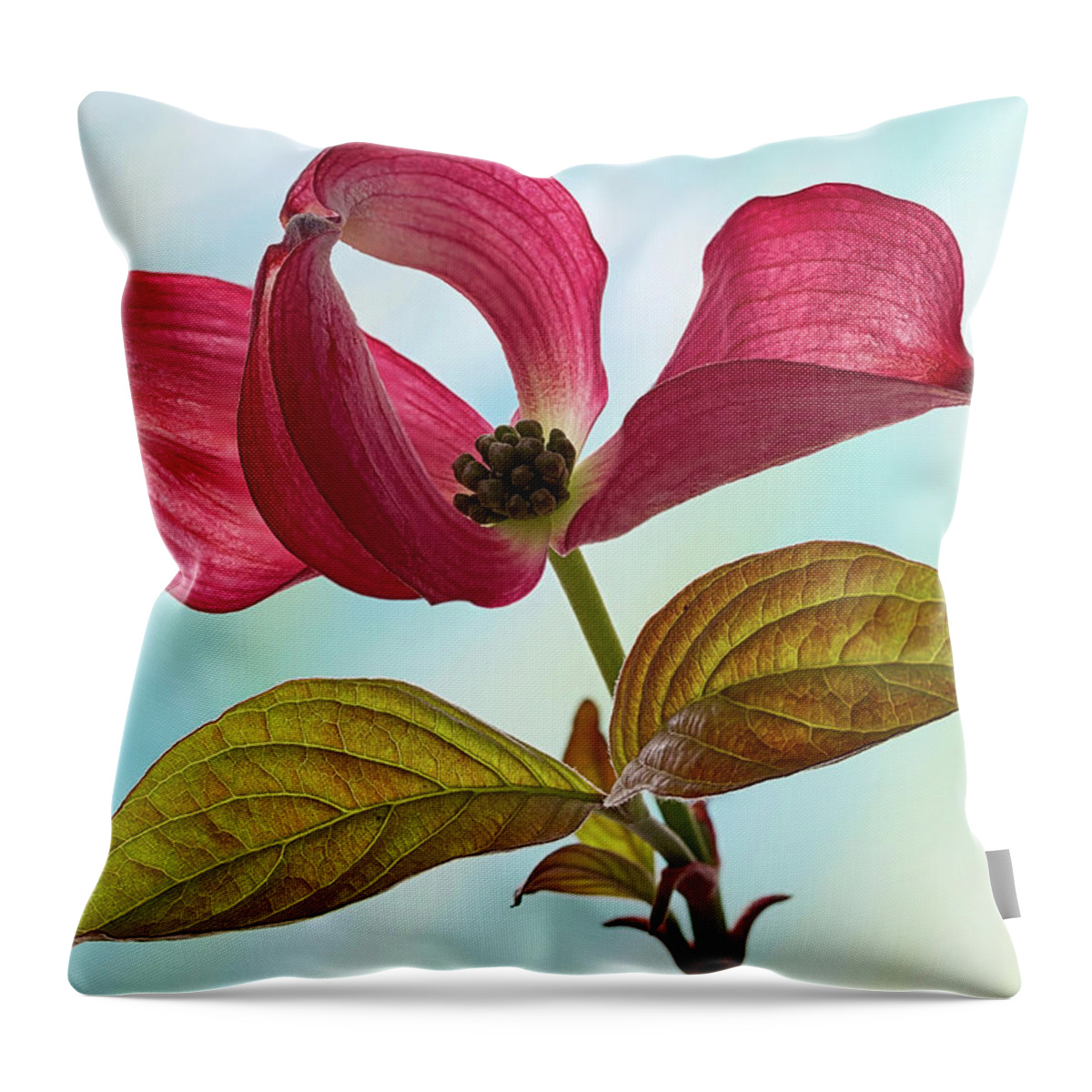 Floral Throw Pillow featuring the photograph Dogwood Ballet 4 by Shirley Mitchell