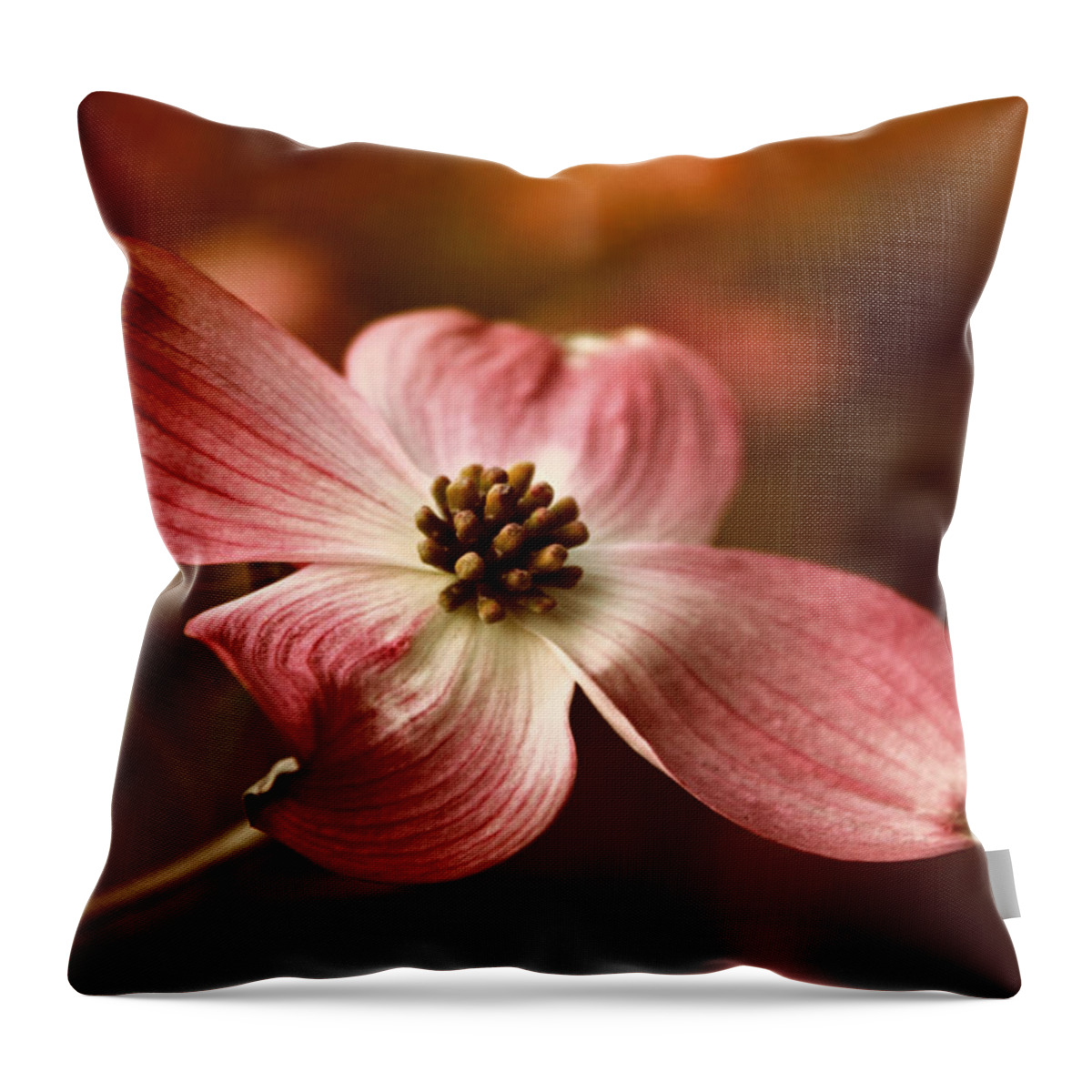 Flower Throw Pillow featuring the photograph Dogwood Blossom by Jessica Jenney