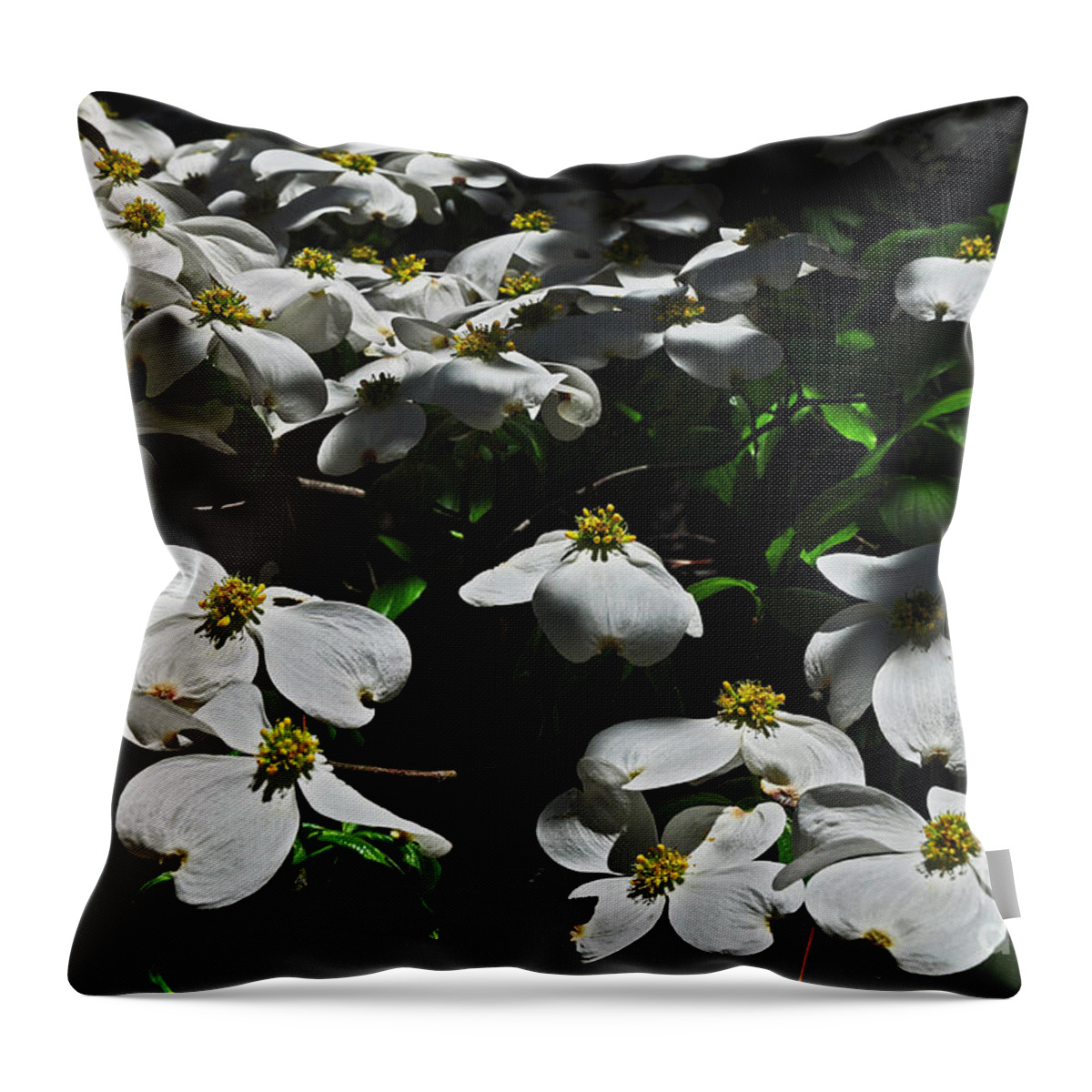 Dogwood Throw Pillow featuring the photograph Dogwood Delight by Randy Rogers