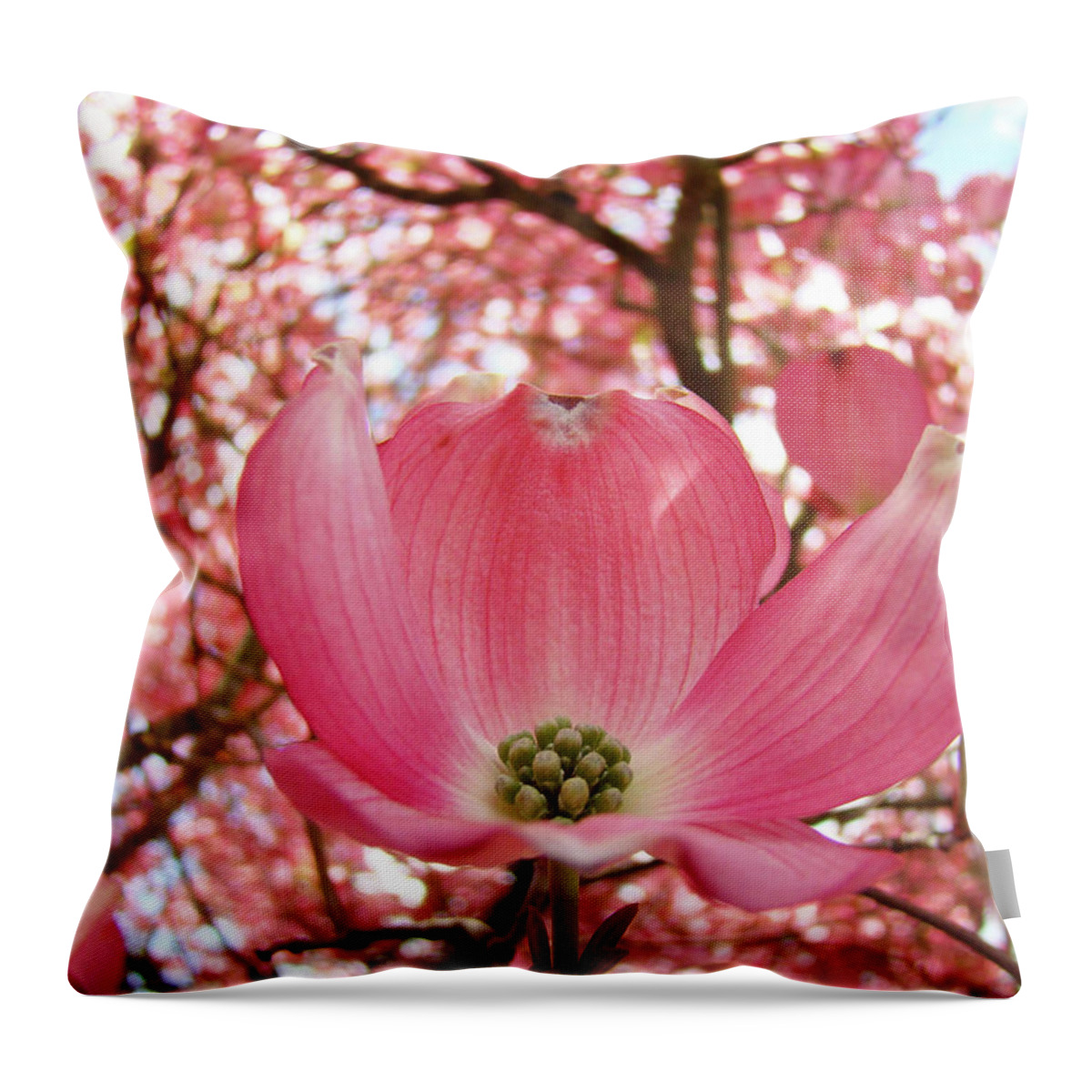 Dogwood Throw Pillow featuring the photograph Dogwood Flowering Tree Art Prints Canvas Framed Baslee Troutman by Patti Baslee