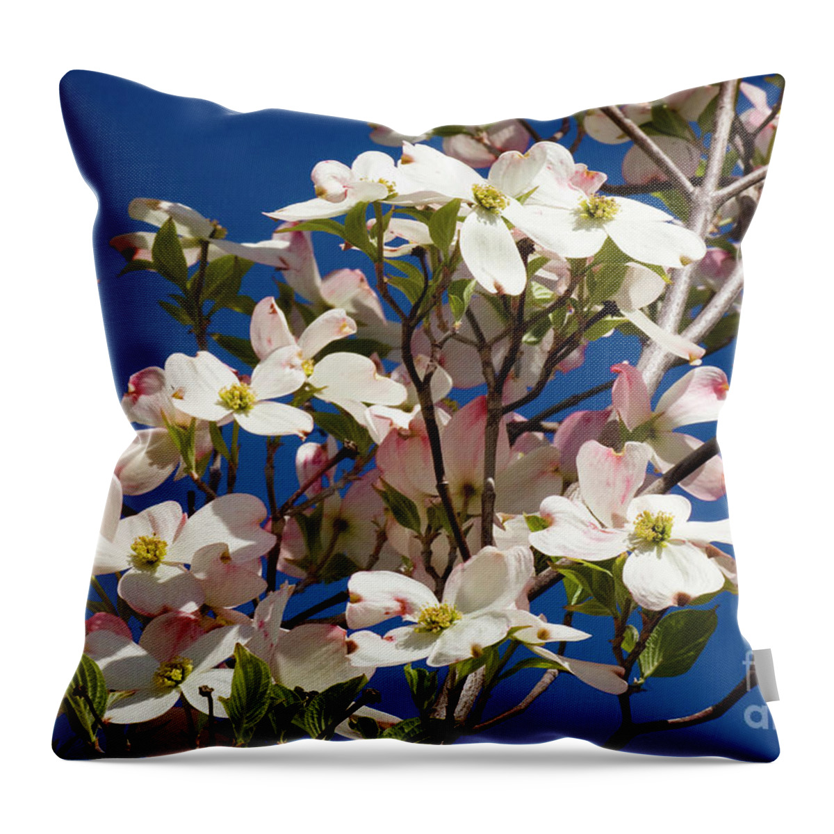 Dogwood Throw Pillow featuring the photograph Dogwood Sky by Jim And Emily Bush