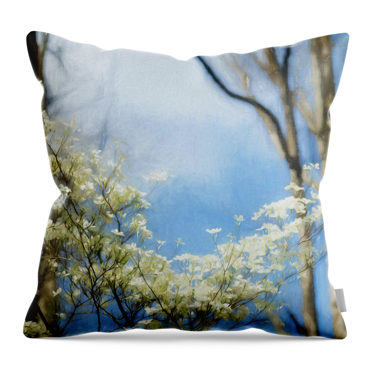 Cornus Throw Pillow featuring the photograph Dogwood Study by James Barber