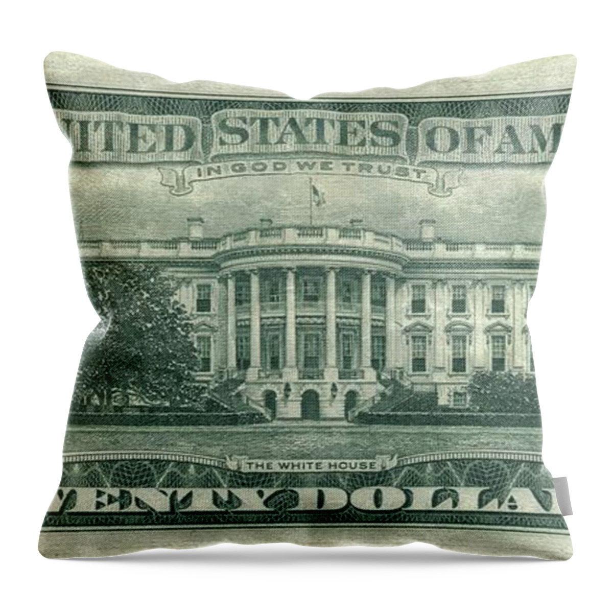 Dollar Throw Pillow featuring the digital art Dollar by Maye Loeser