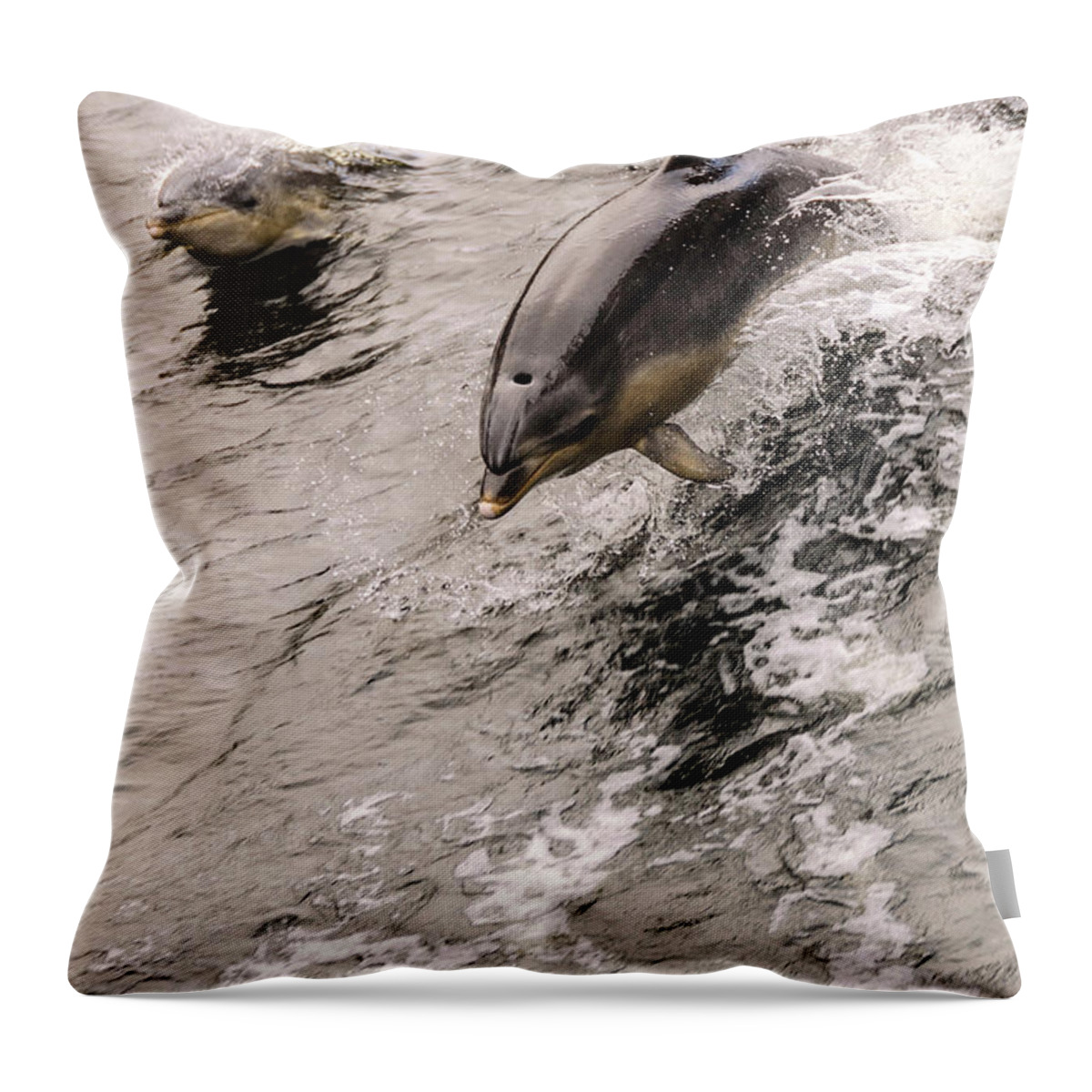 Dolphin Throw Pillow featuring the photograph Dolphins by Werner Padarin
