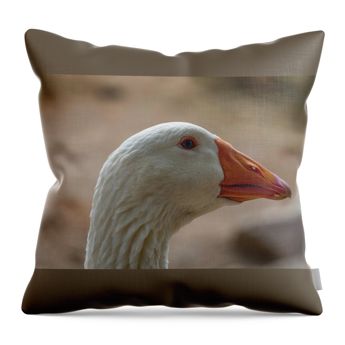 Bird Throw Pillow featuring the photograph Domestic Goose by Douglas Killourie