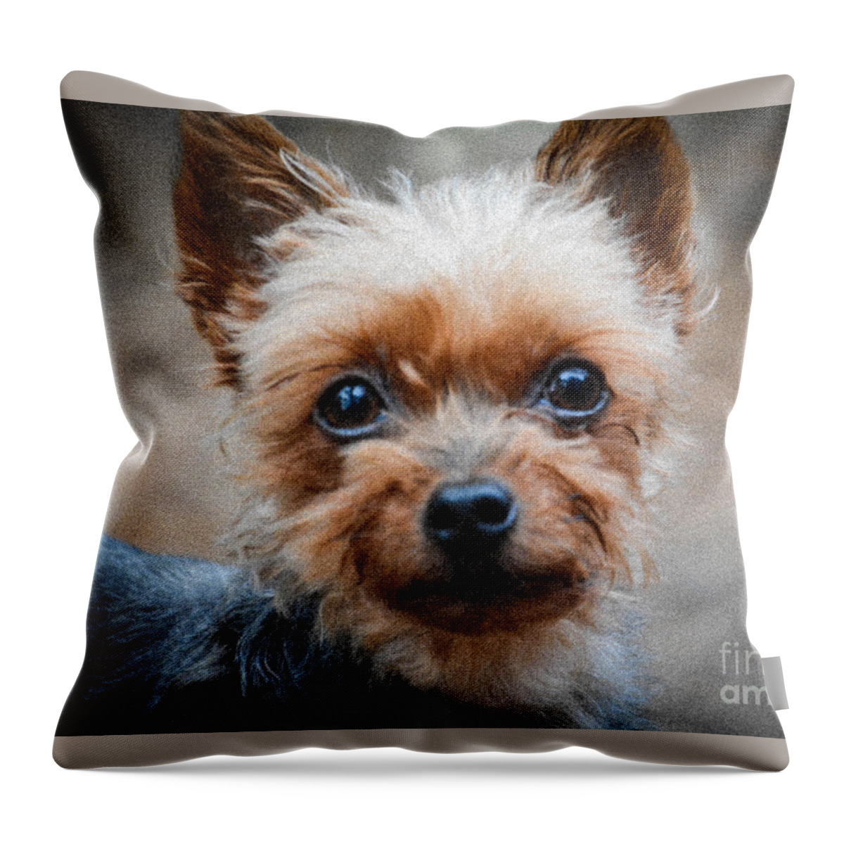 Sad Throw Pillow featuring the photograph Don't Leave by Lisa Kilby