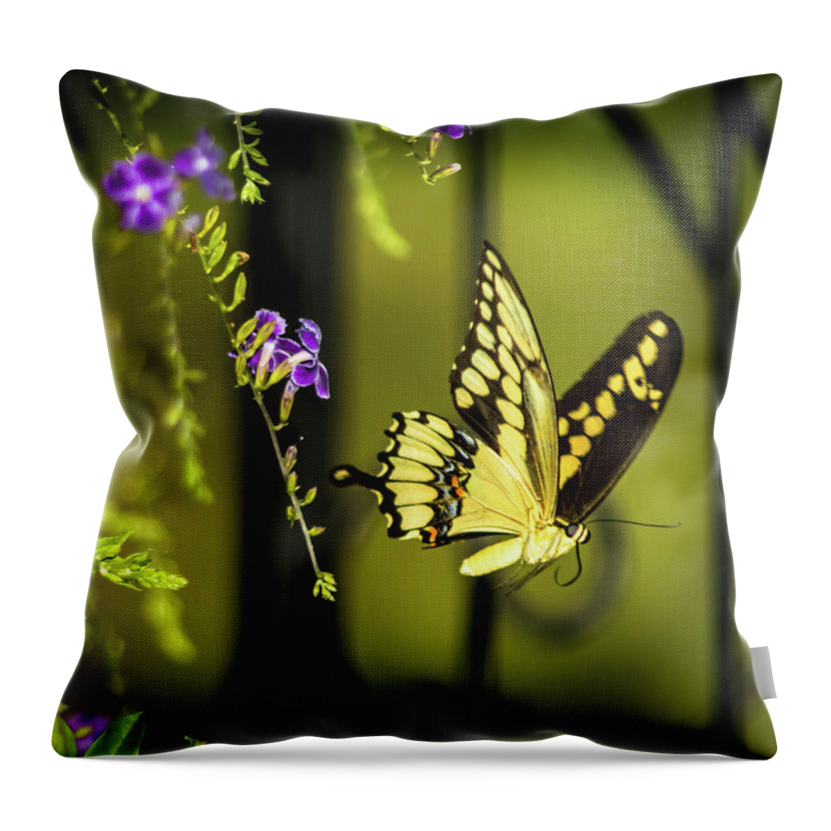 Butterfly Throw Pillow featuring the photograph Done by Leticia Latocki