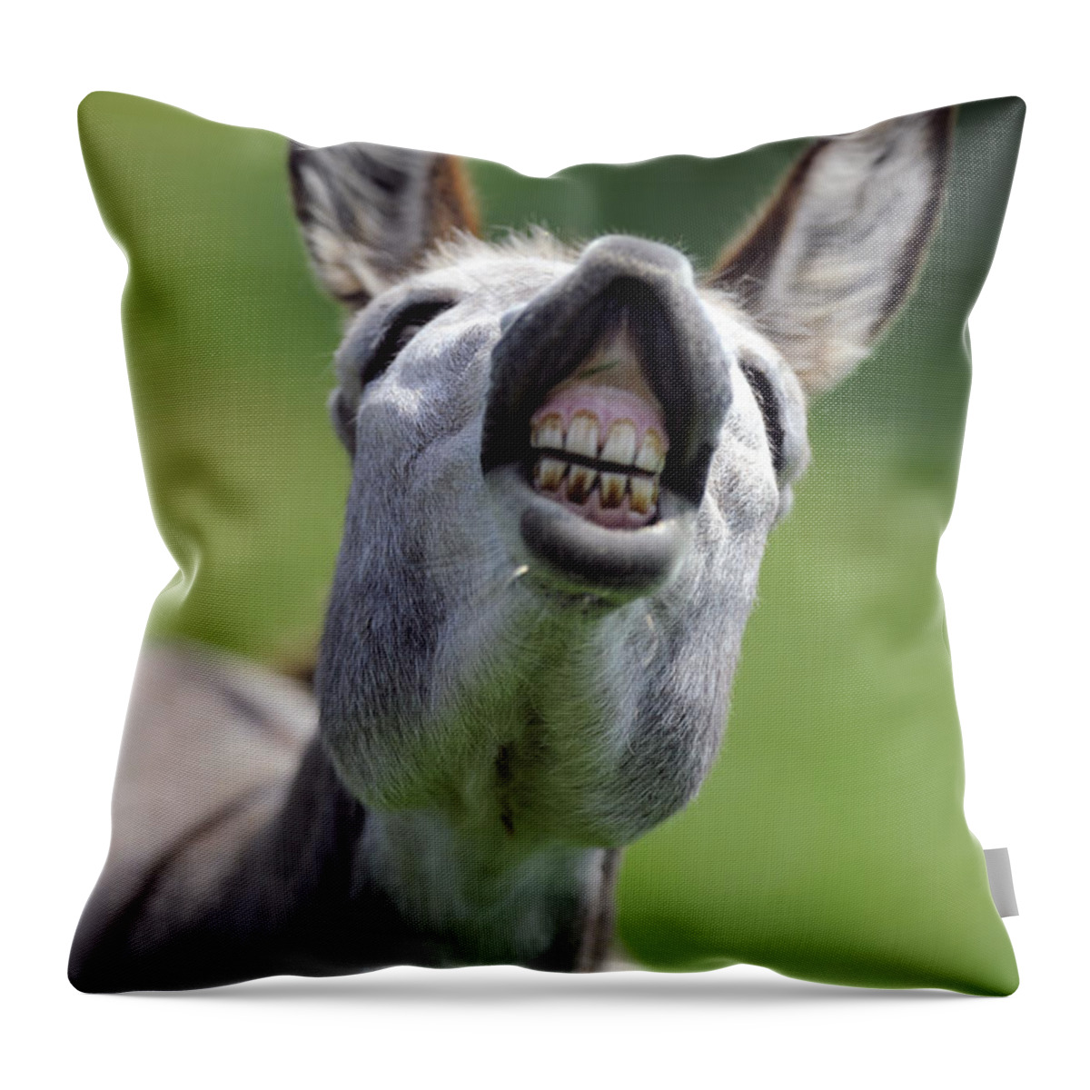 Donkey Throw Pillow featuring the photograph Donkey #2112 by Carien Schippers