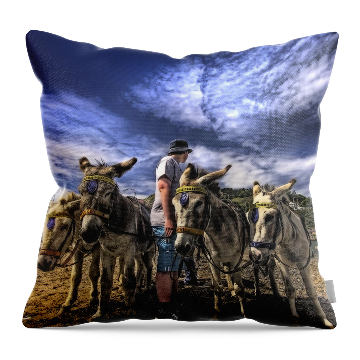 Donkey Throw Pillow featuring the photograph Donkey Rides by Meirion Matthias