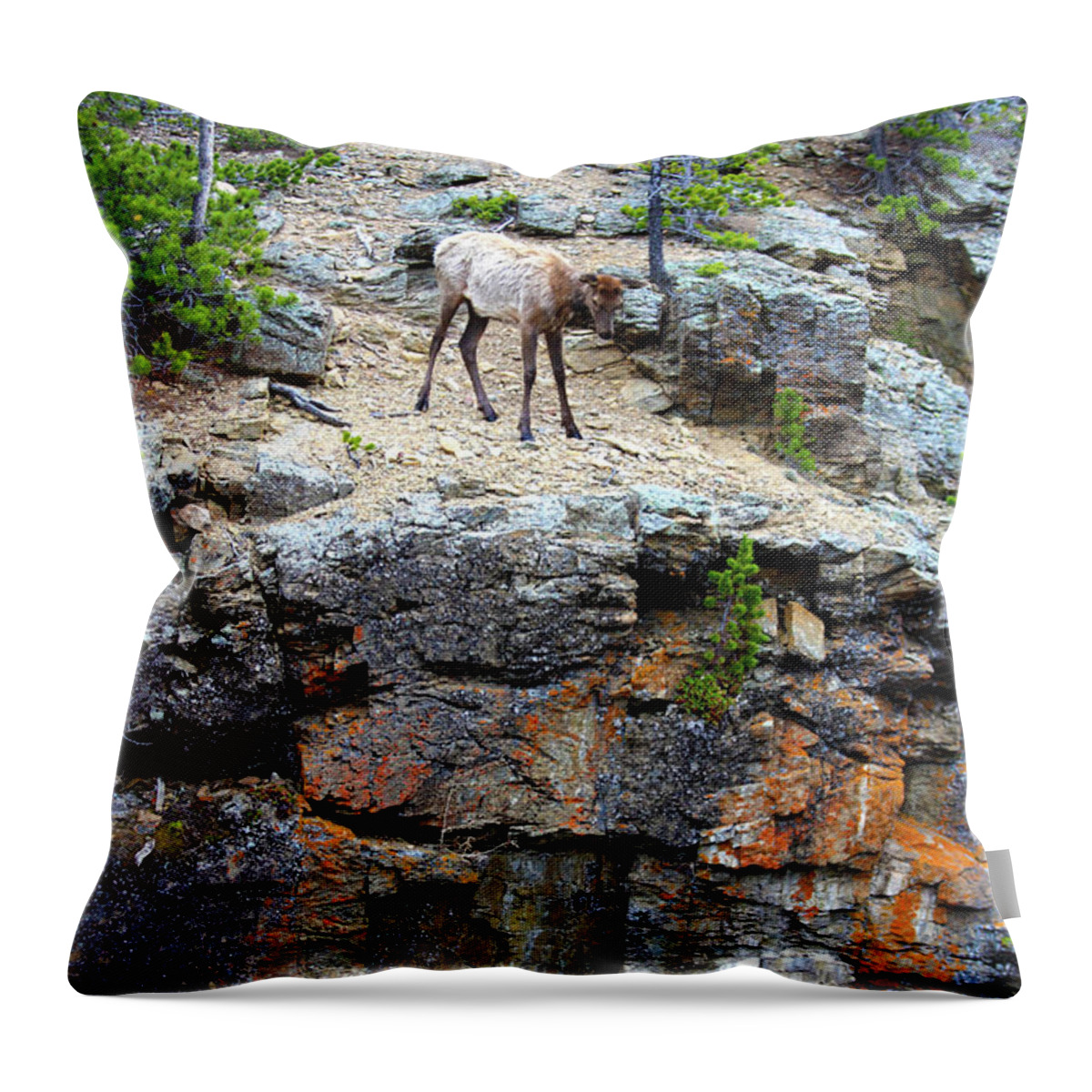 Cliff Throw Pillow featuring the photograph Don't Jump by Shane Bechler