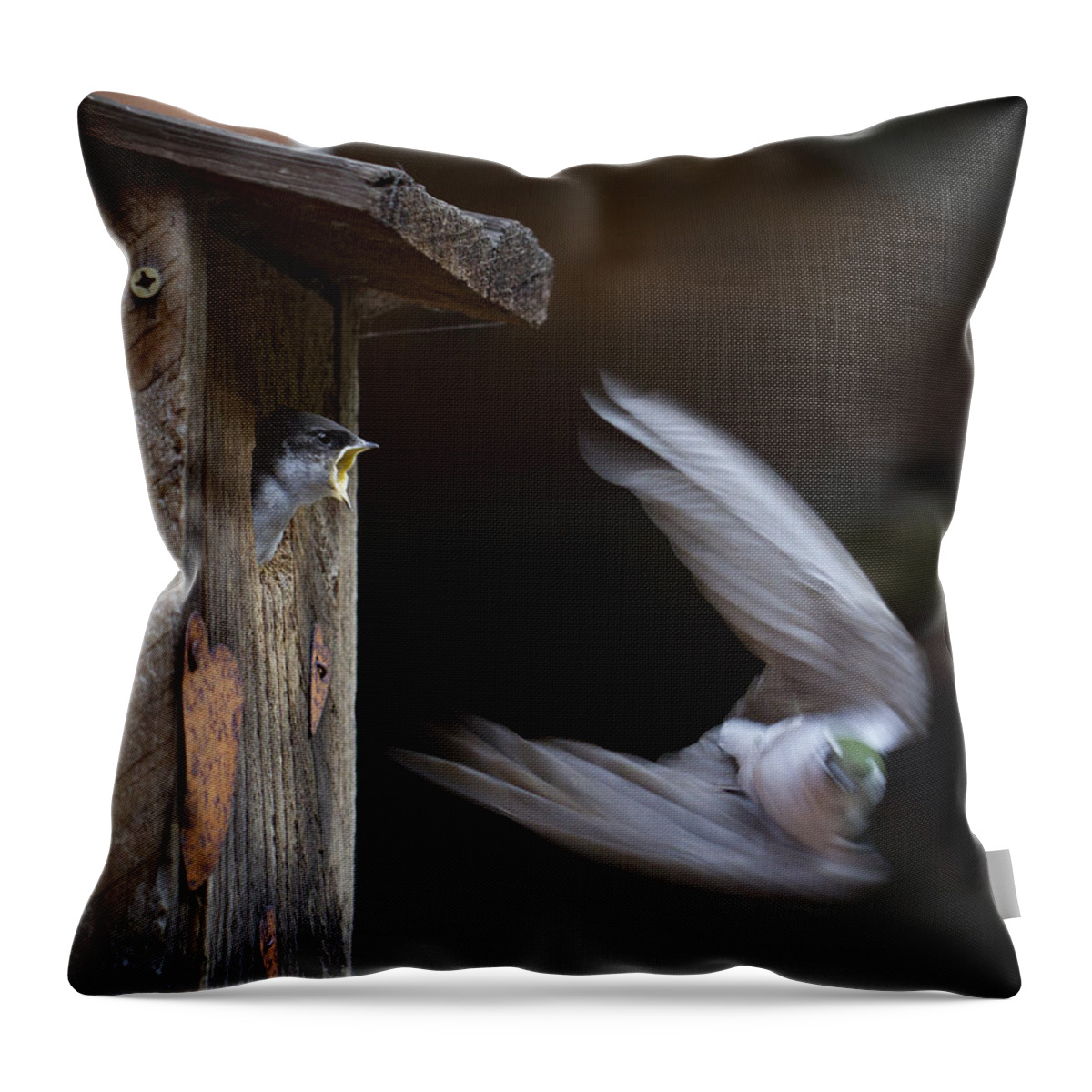 Home Throw Pillow featuring the photograph Dont Leave by Jean Noren