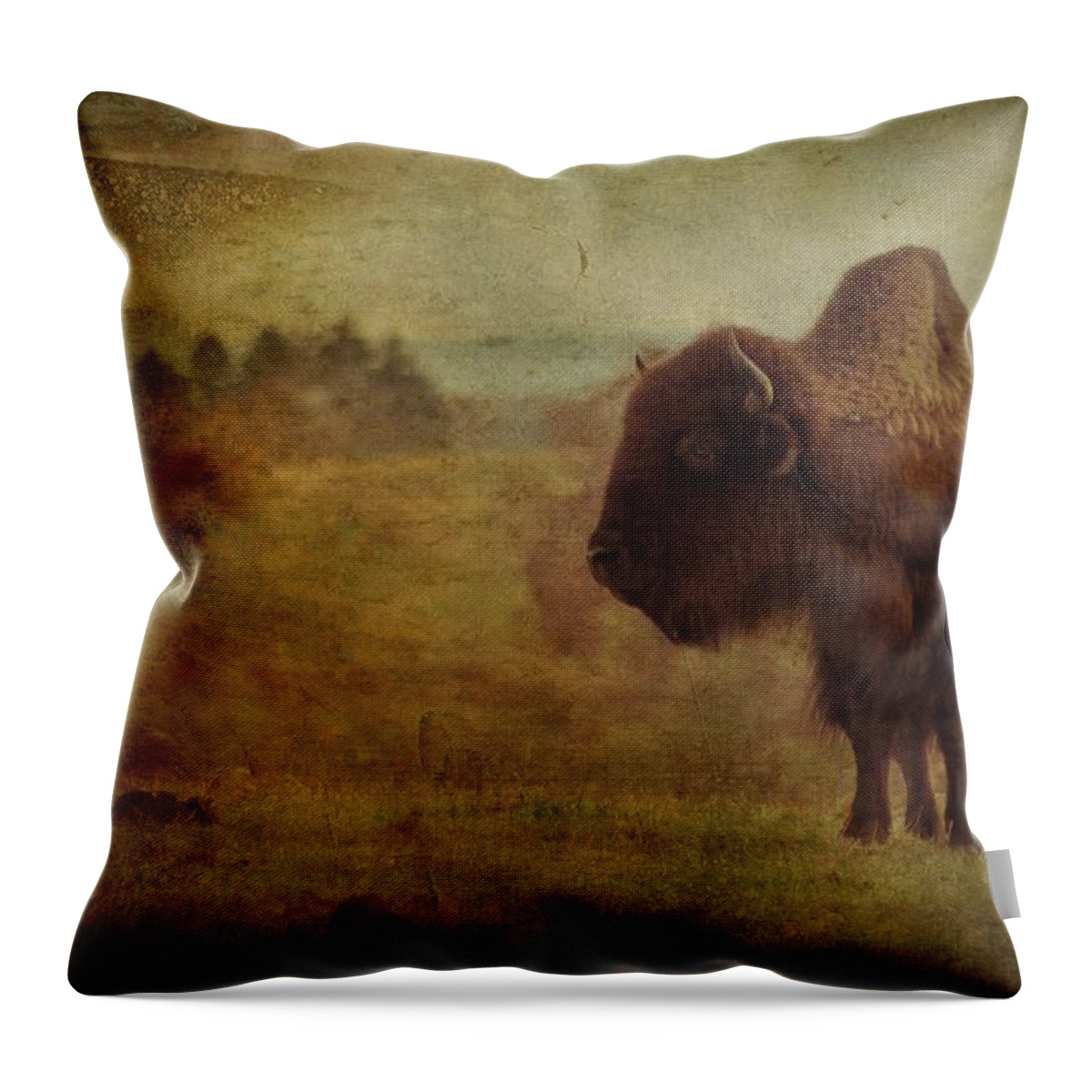 Bison Throw Pillow featuring the photograph Doo Doo Valley by Trish Tritz
