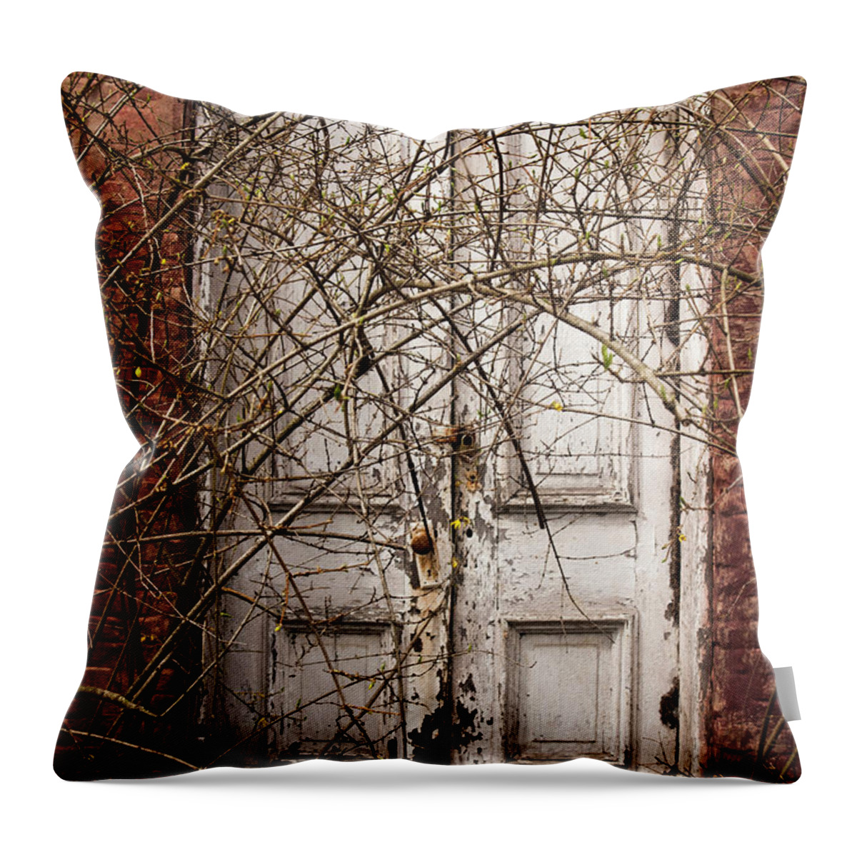  Throw Pillow featuring the photograph Door to....? by Melissa Newcomb