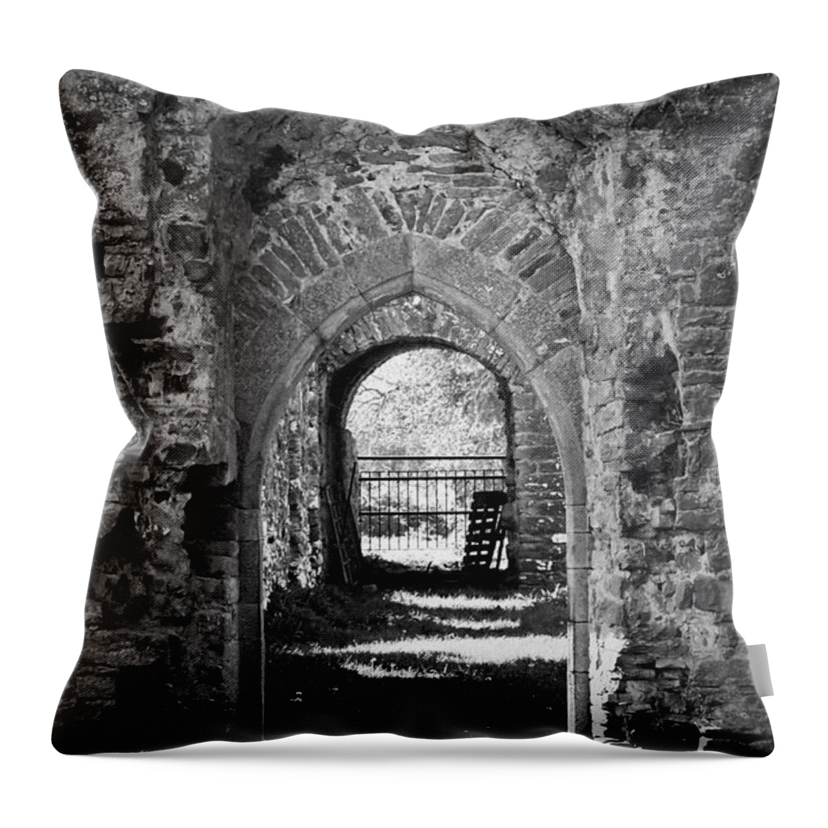 Irish Throw Pillow featuring the photograph Doors at Ballybeg Priory in Buttevant Ireland by Teresa Mucha