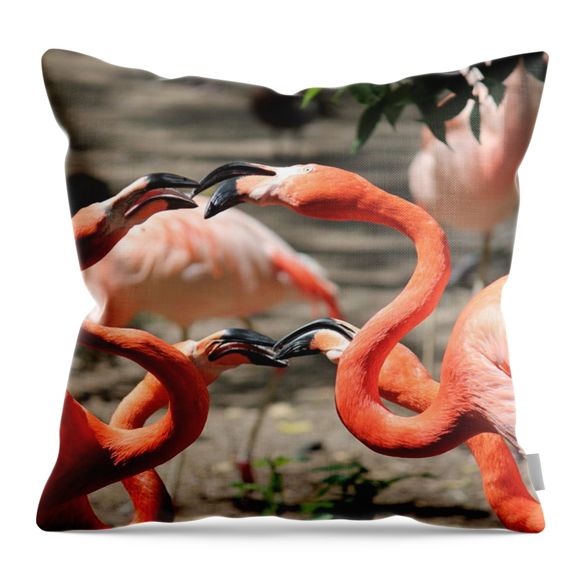 Flamingo Throw Pillow featuring the photograph Double Date by Trent Mallett