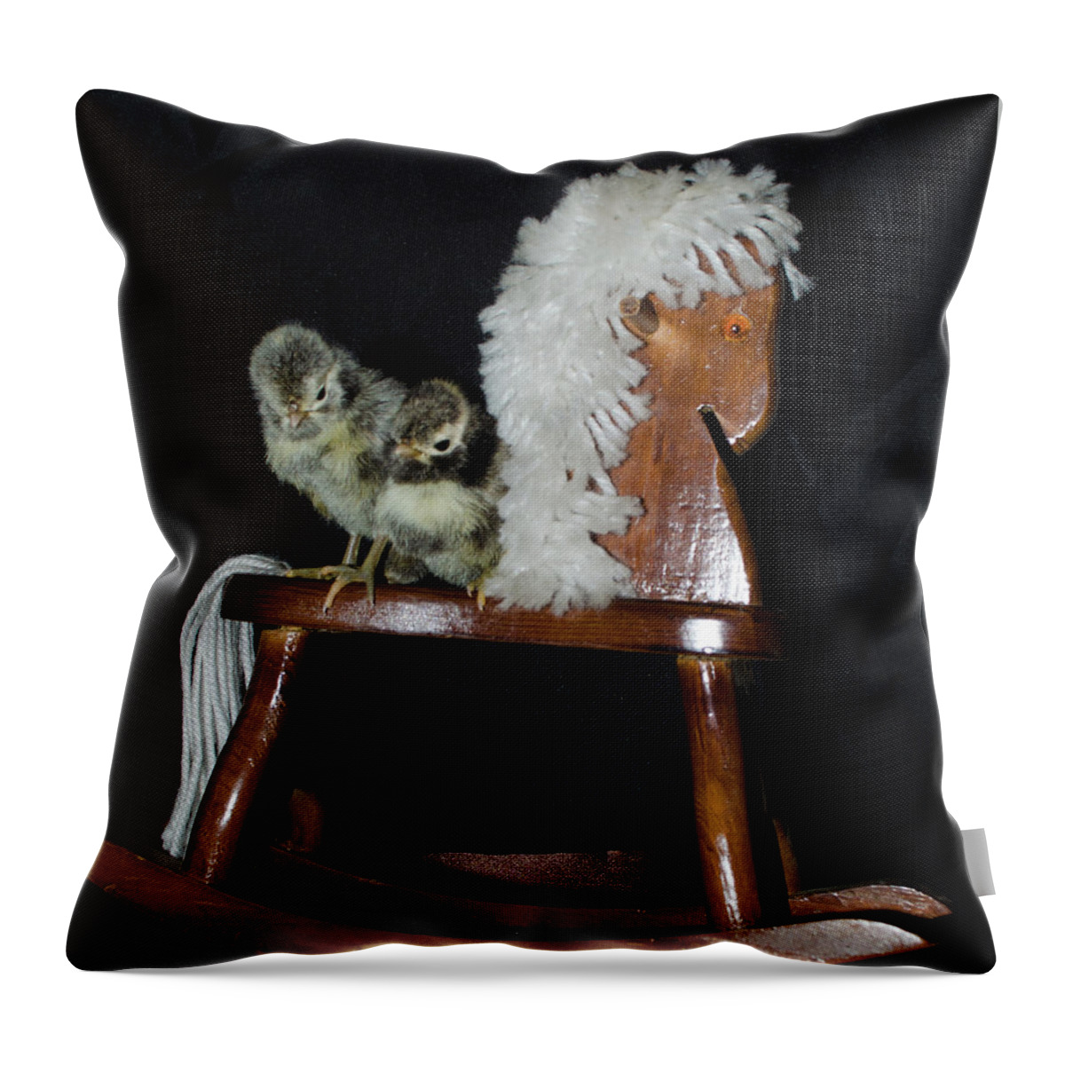 Bird Throw Pillow featuring the photograph Double Seat Rocking Horse by Donna Brown