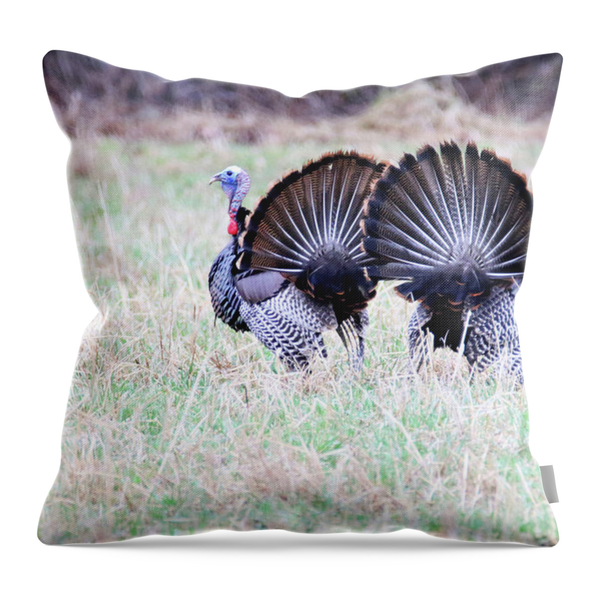 Wild Throw Pillow featuring the photograph Double Strut by Brook Burling