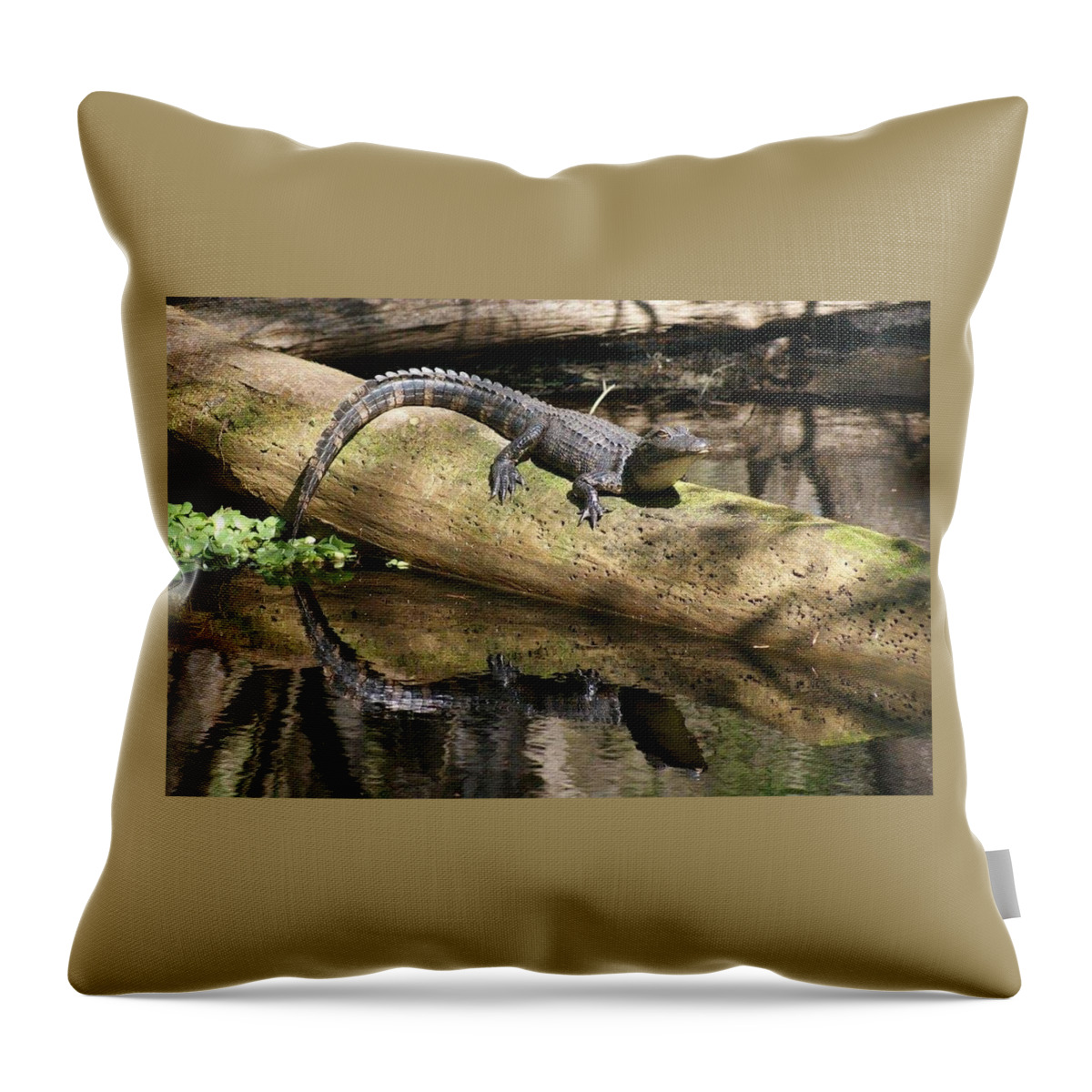 Florida Throw Pillow featuring the photograph Double Trouble by Lindsey Floyd