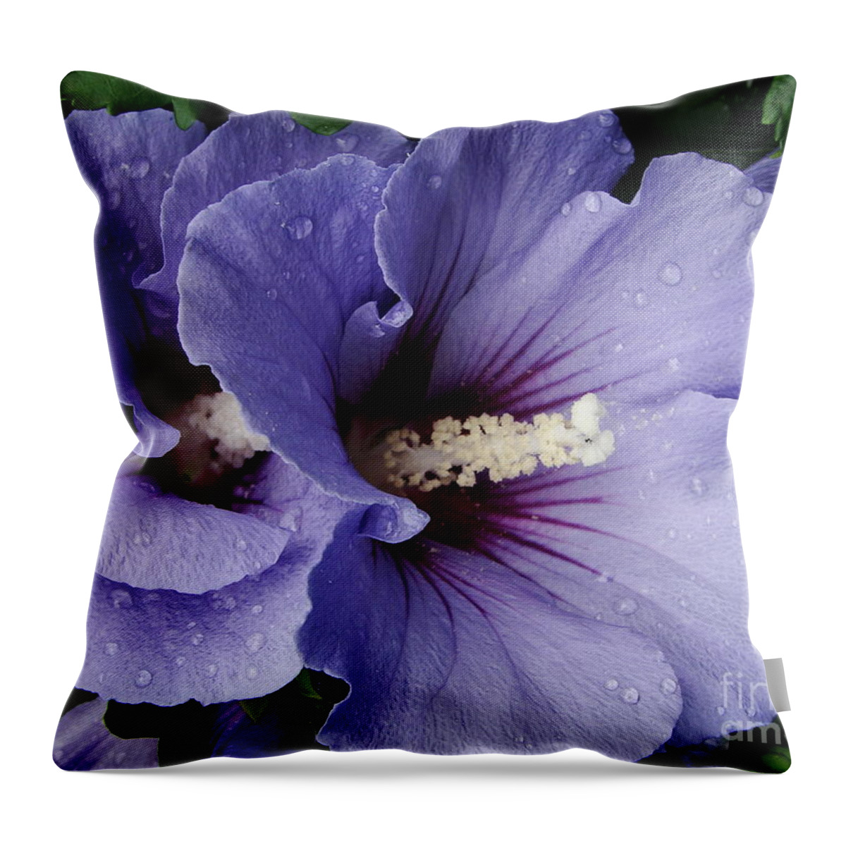 Dew Throw Pillow featuring the photograph Double Trouble by Priscilla Richardson