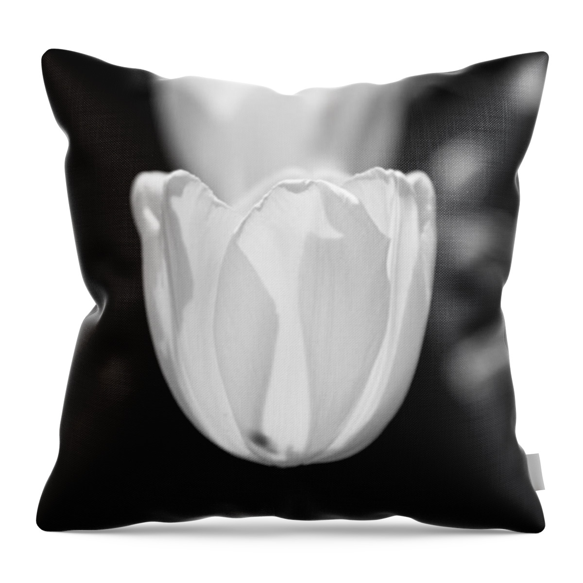 2015 Throw Pillow featuring the photograph Double Vision by Wade Brooks