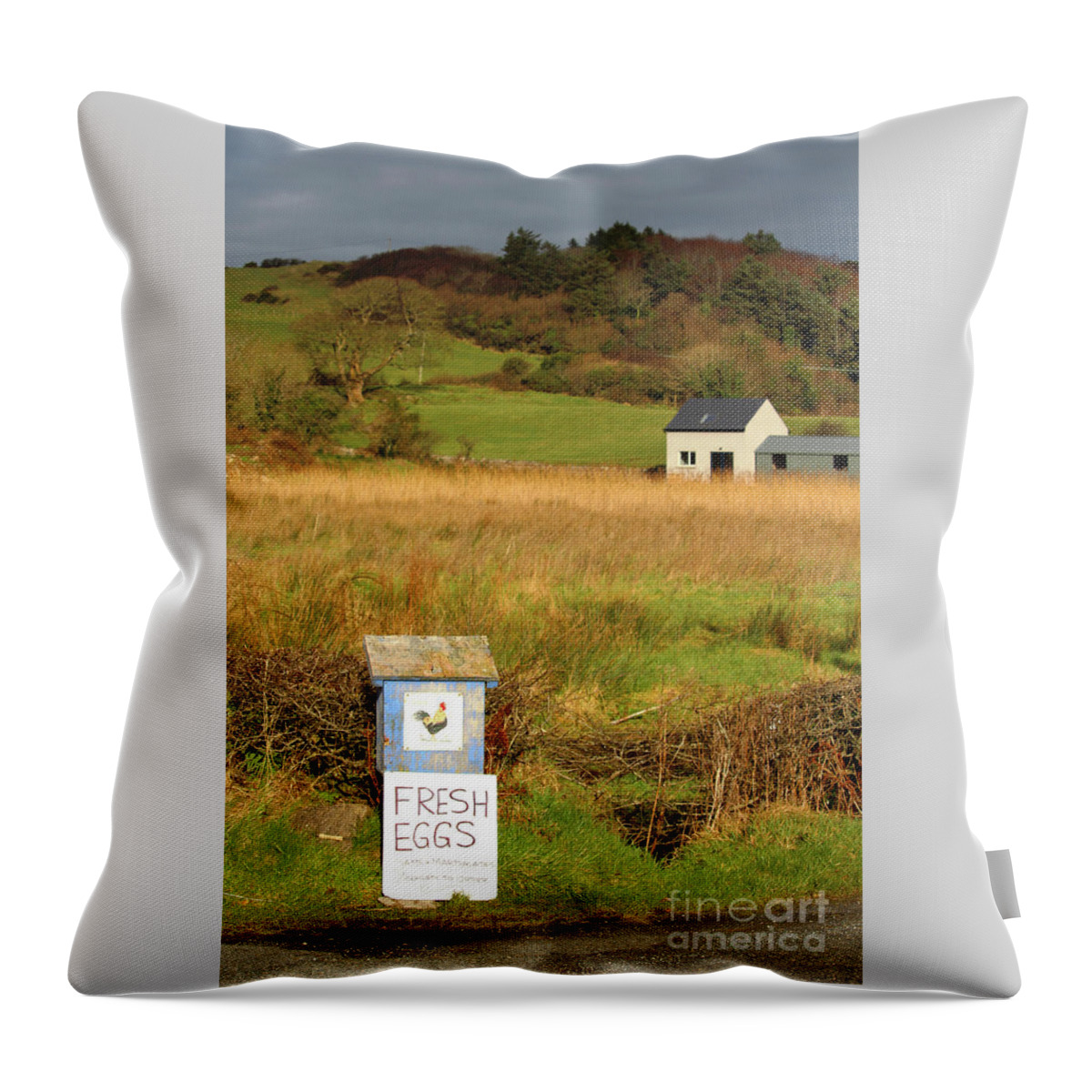 Farm Farmhouse Throw Pillow featuring the photograph Double Yolker Donegal Ireland by Eddie Barron