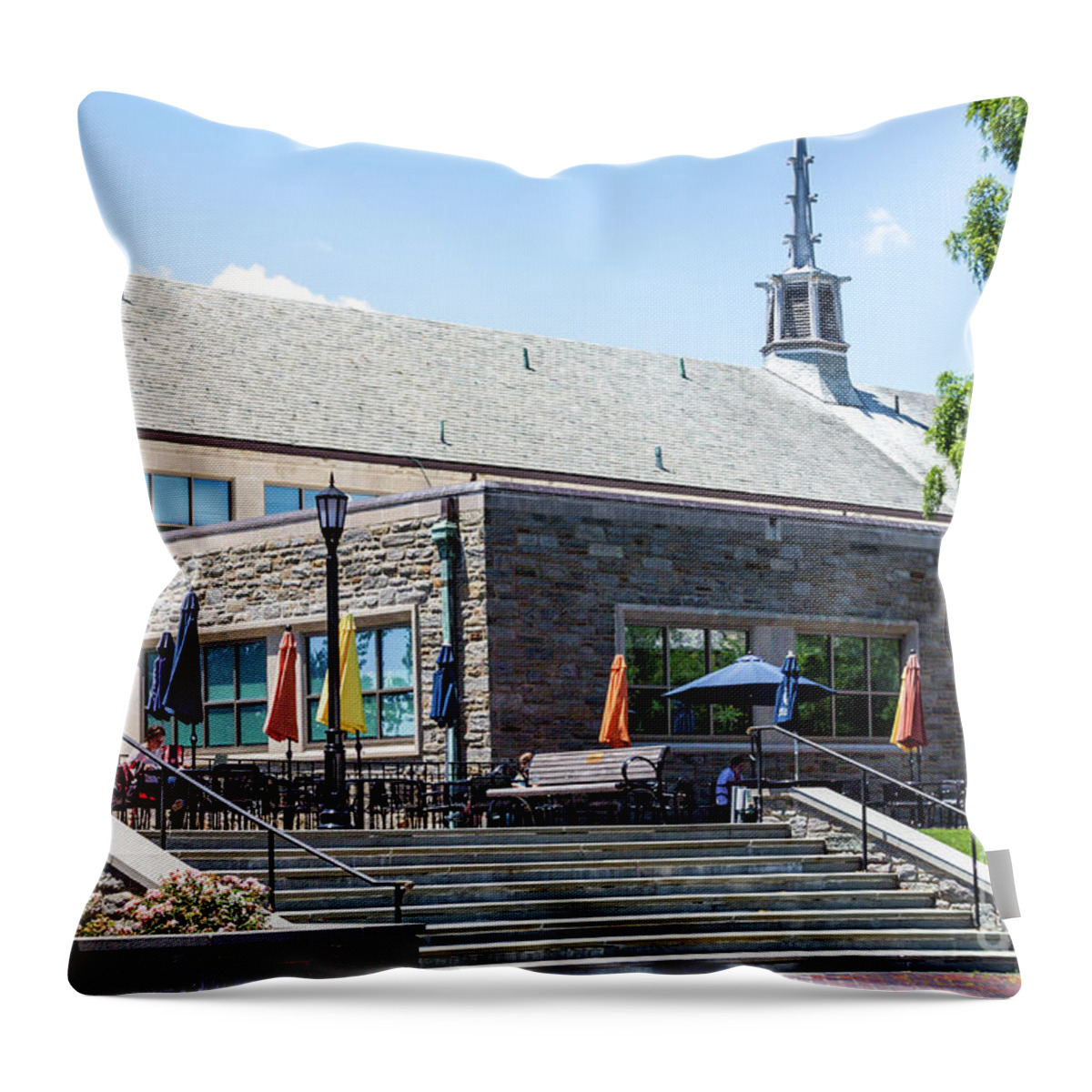 Vu Throw Pillow featuring the photograph Dougherty Hall by William Norton