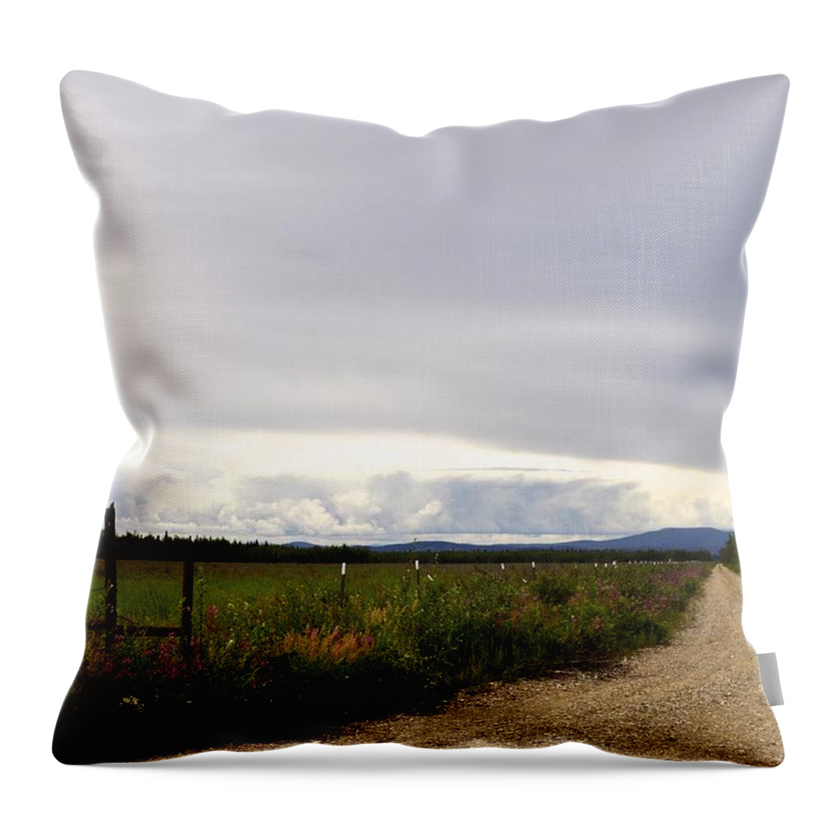 Country Road Throw Pillow featuring the photograph Down a Country Road by Cathy Mahnke