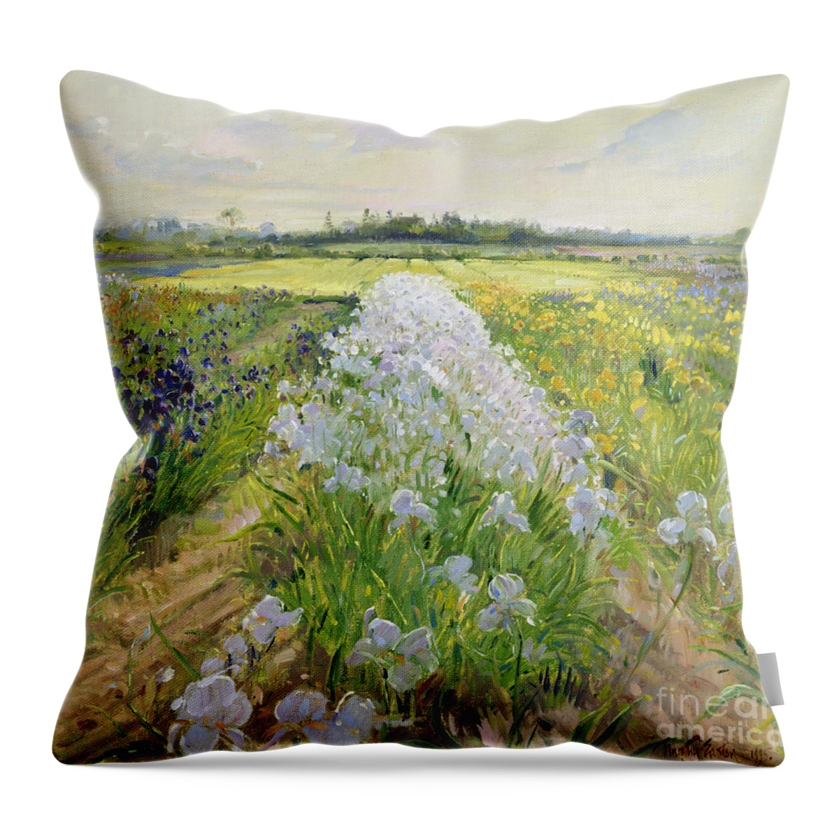 Iris; Field; Flower; Landscape; Irises; Flowers; Grass; Fields; Leaf; Leafs; Tree; Trees Throw Pillow featuring the painting Down the Line by Timothy Easton