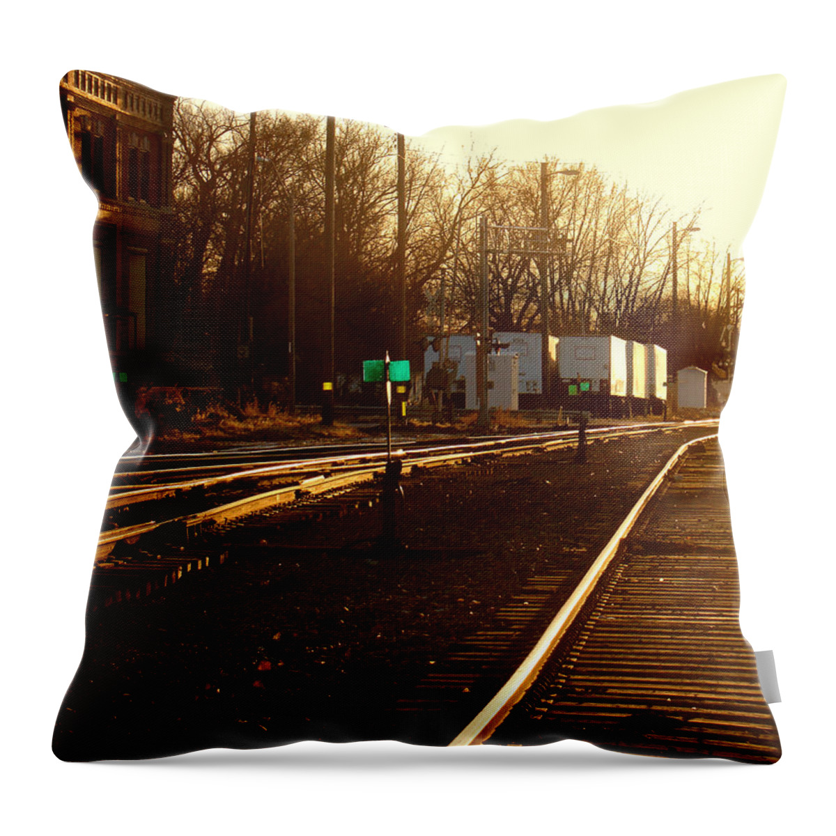 Landscape Throw Pillow featuring the photograph Down the Right Track by Steve Karol